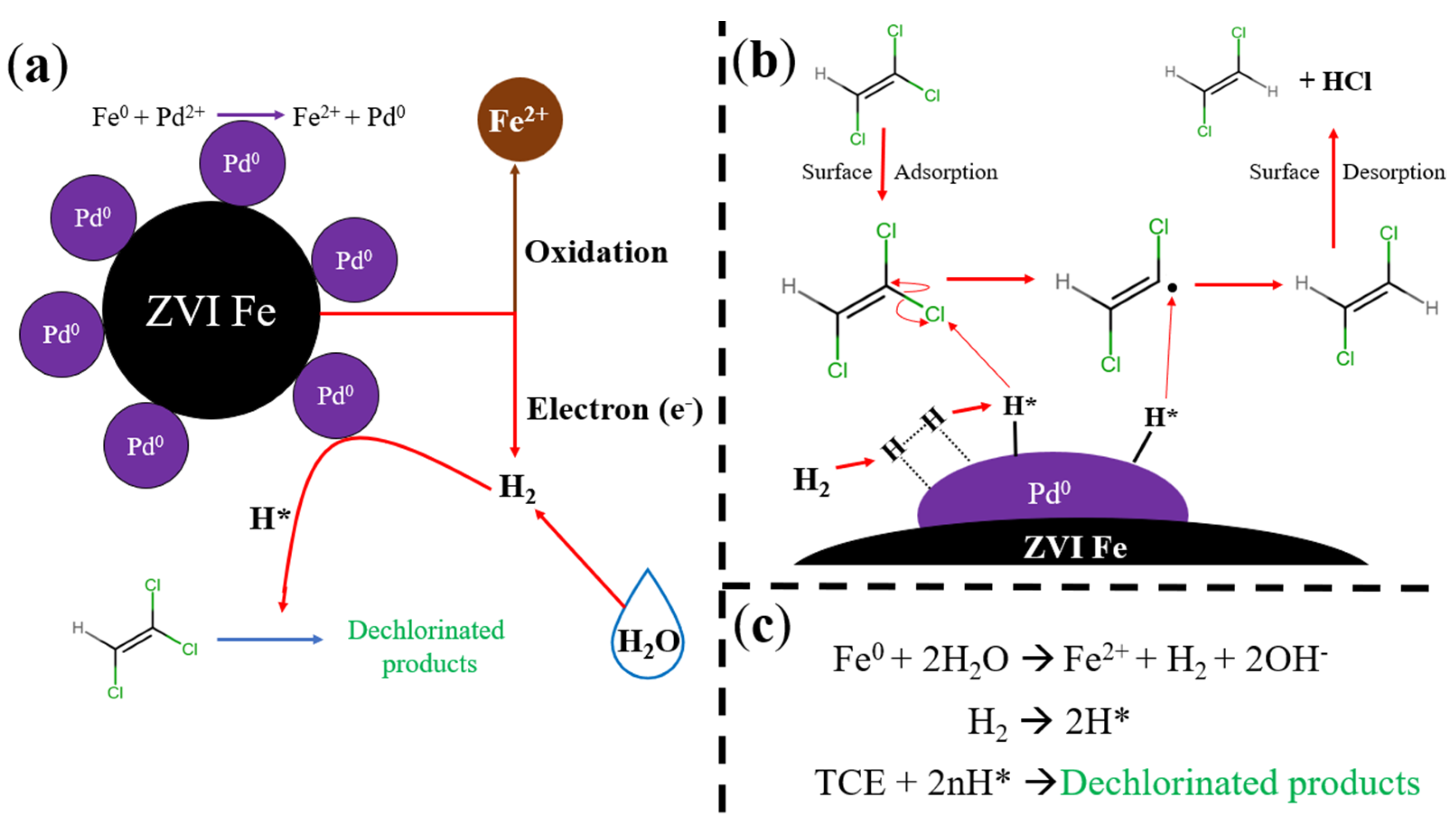 Nanomaterials 13 02041 g007