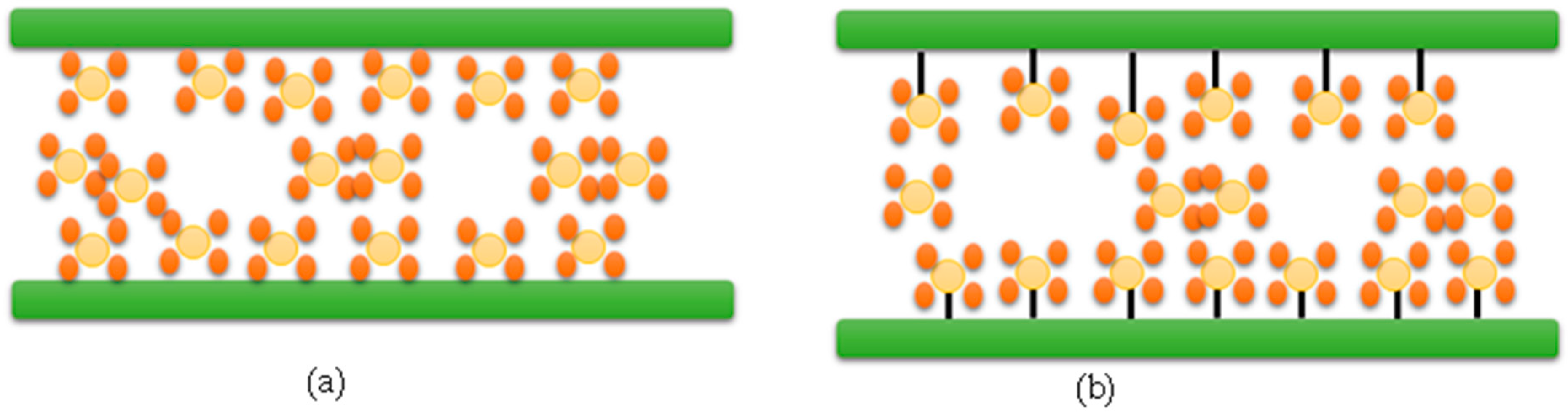 Nanomaterials 13 02050 g003
