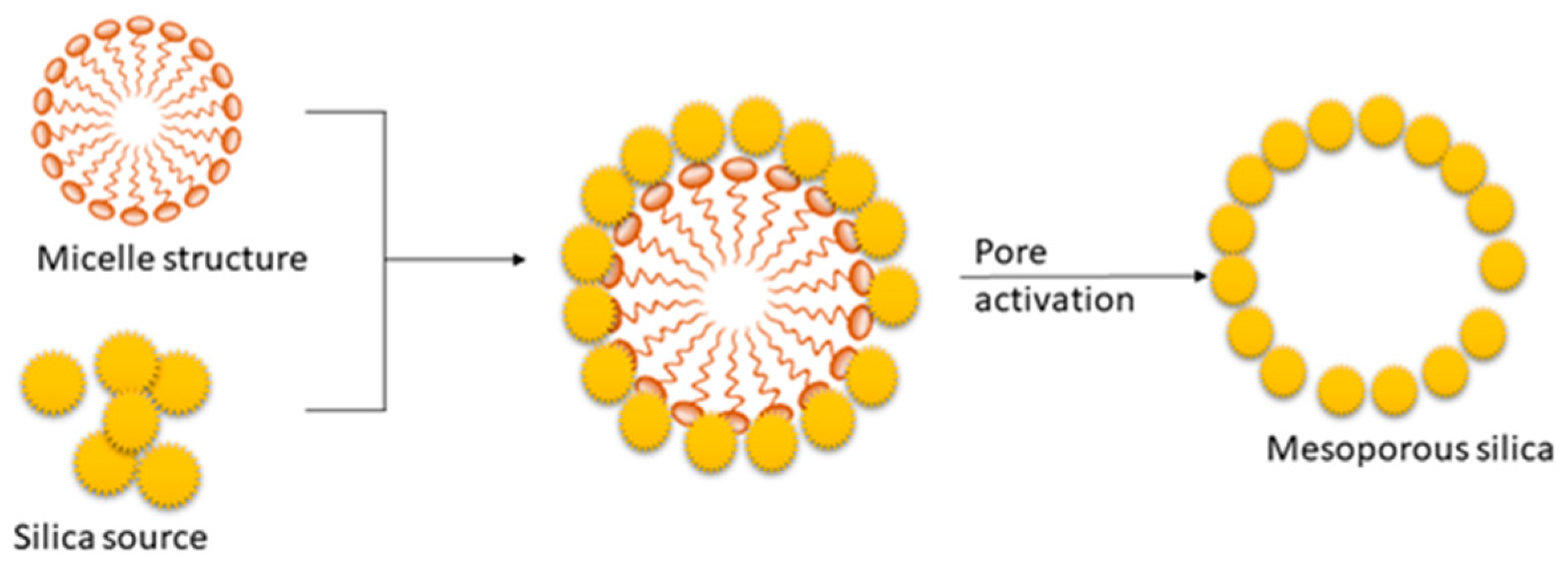 Nanomaterials 13 02050 g005