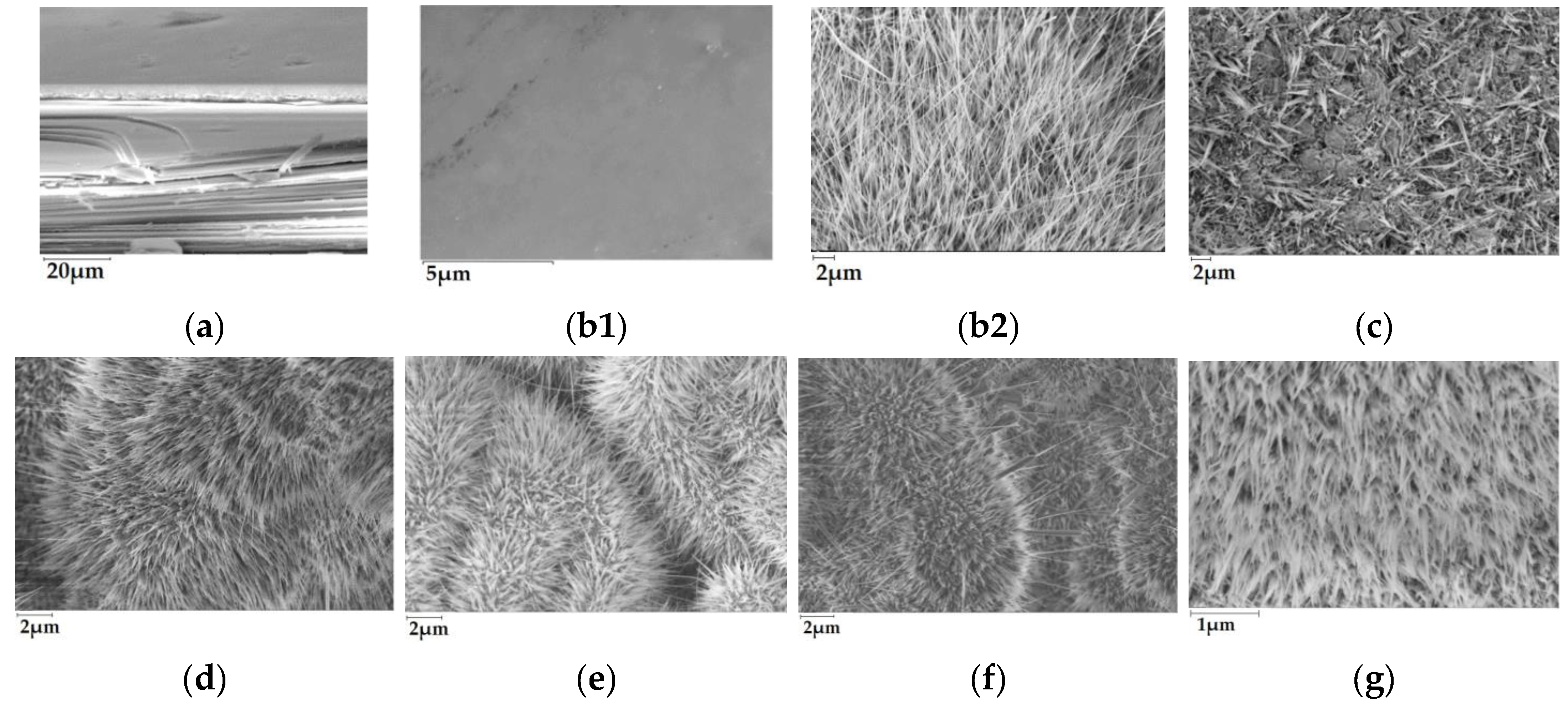Nanomaterials 13 02052 g003