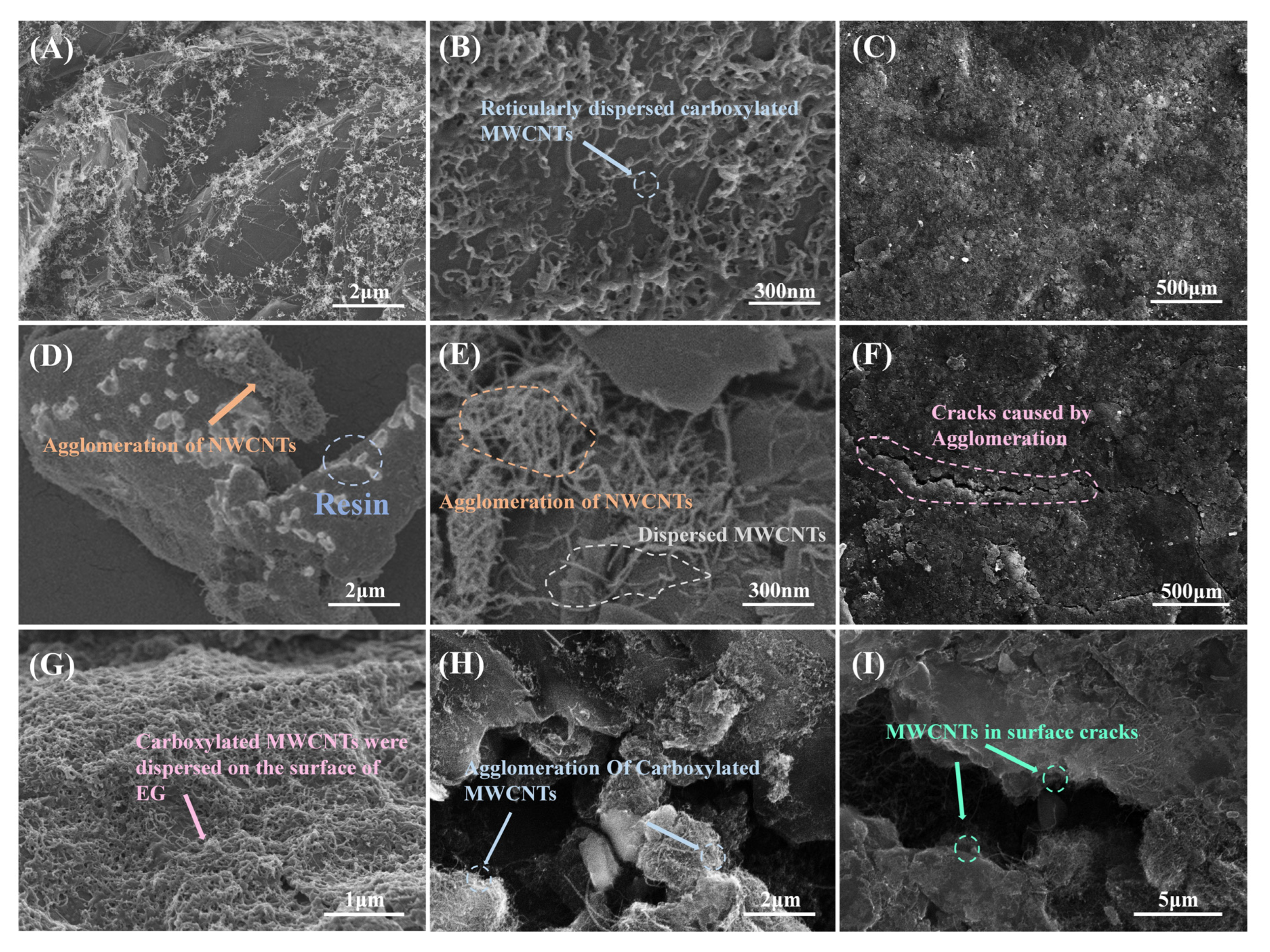 Nanomaterials 13 02055 g006
