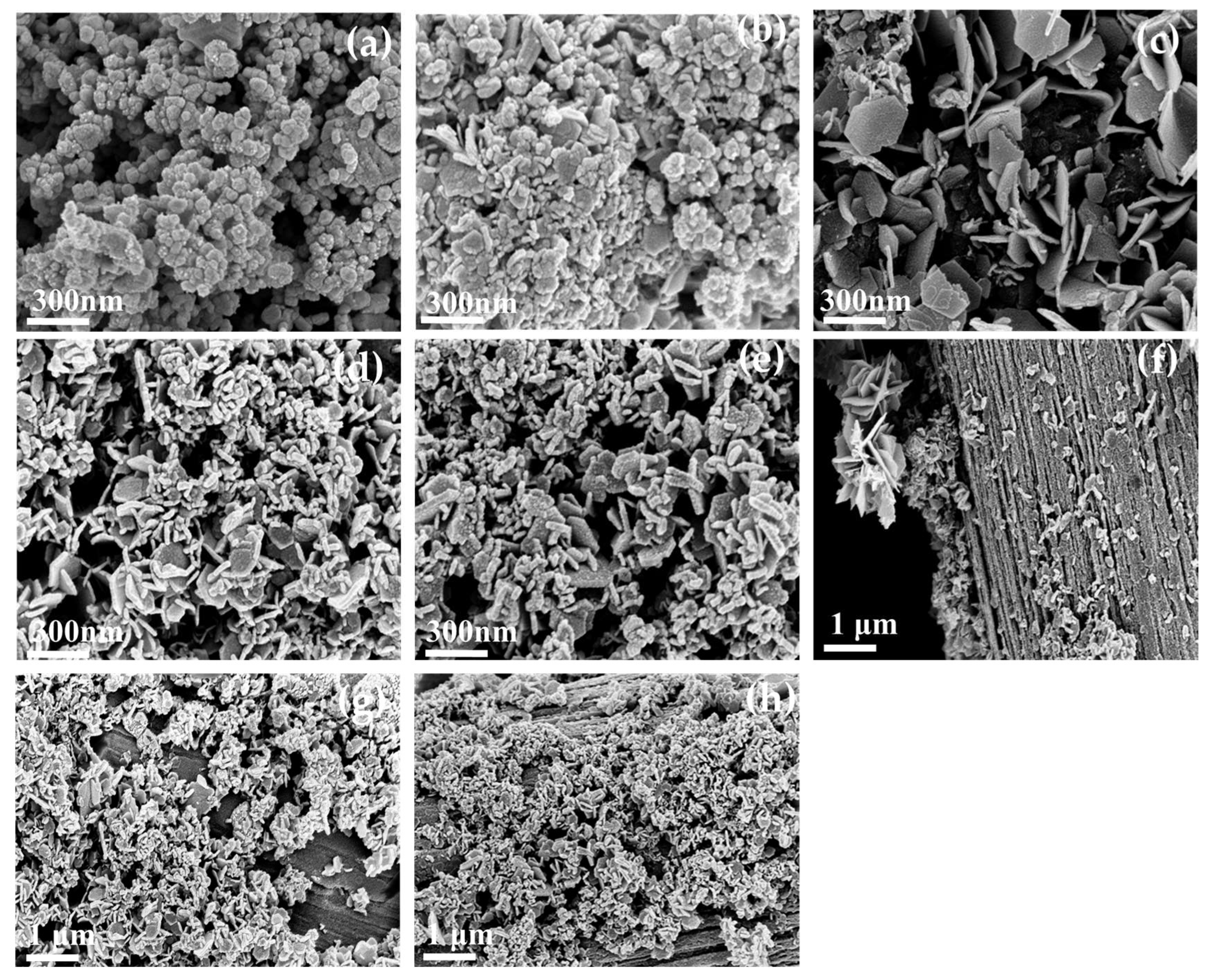 Nanomaterials 13 02060 g001