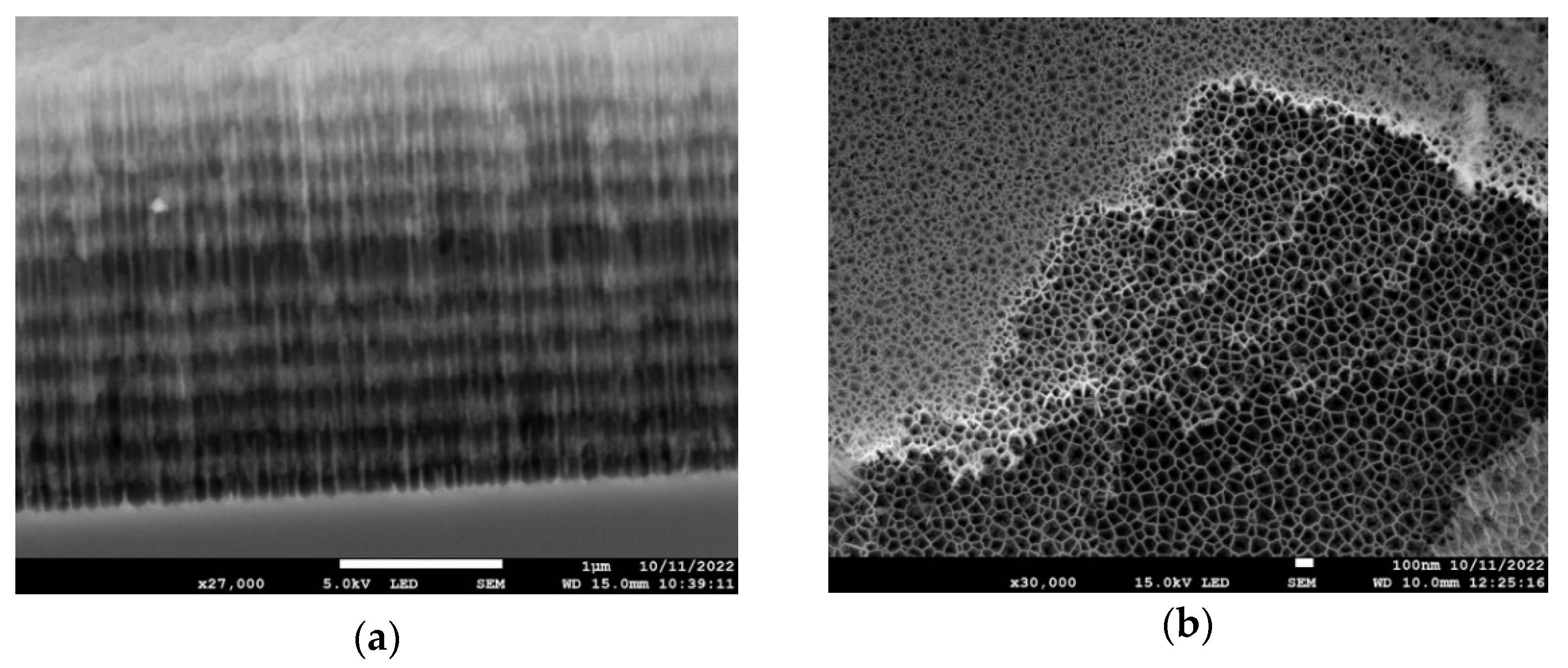 Nanomaterials 13 02070 g004