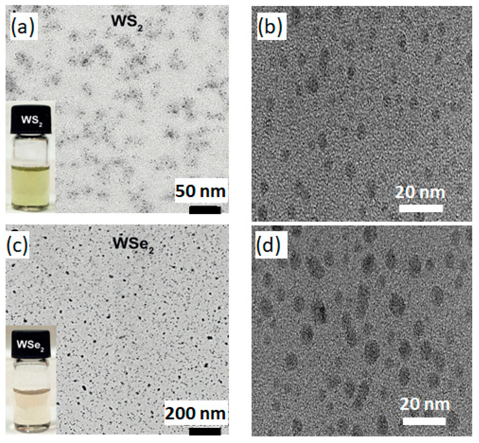 Nanomaterials 13 02075 g002