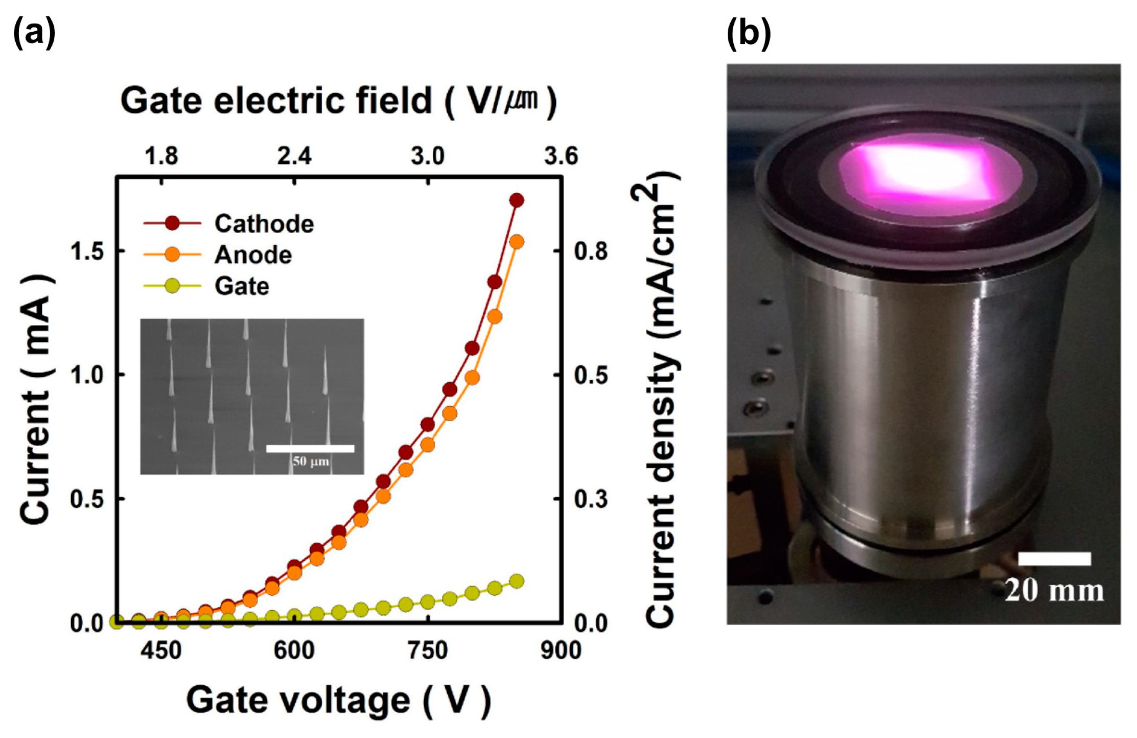 Nanomaterials 13 02080 g008 Nanomaterials 13 02080 g008