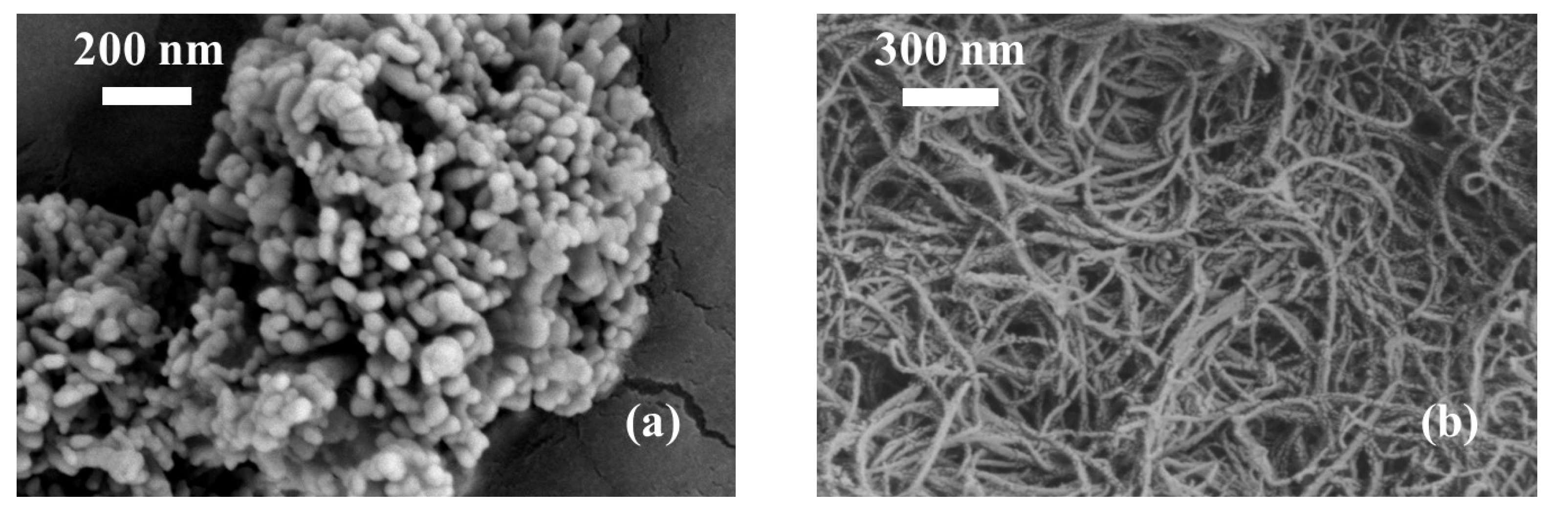 Nanomaterials 13 02092 g001