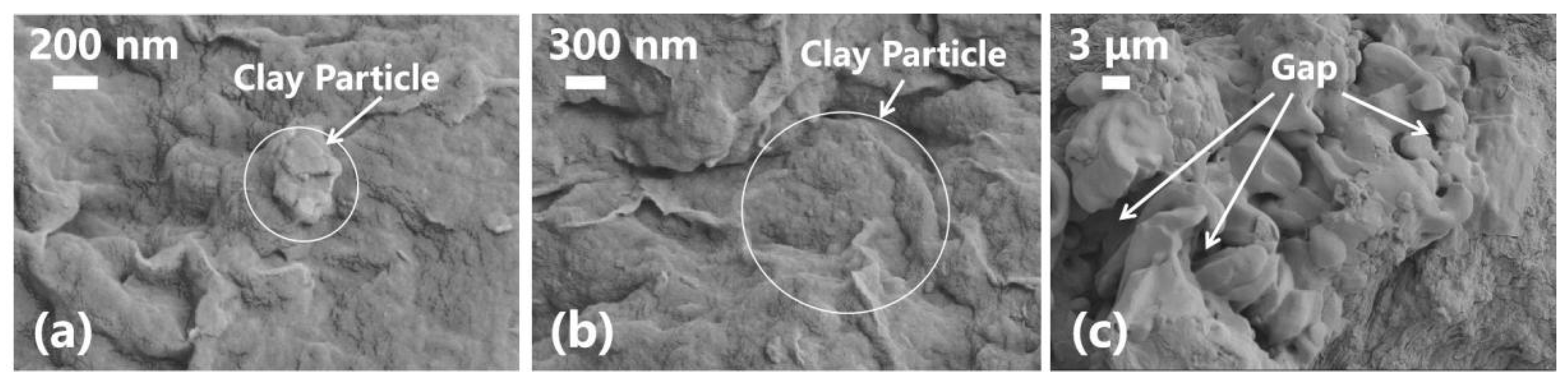 Nanomaterials 13 02092 g012