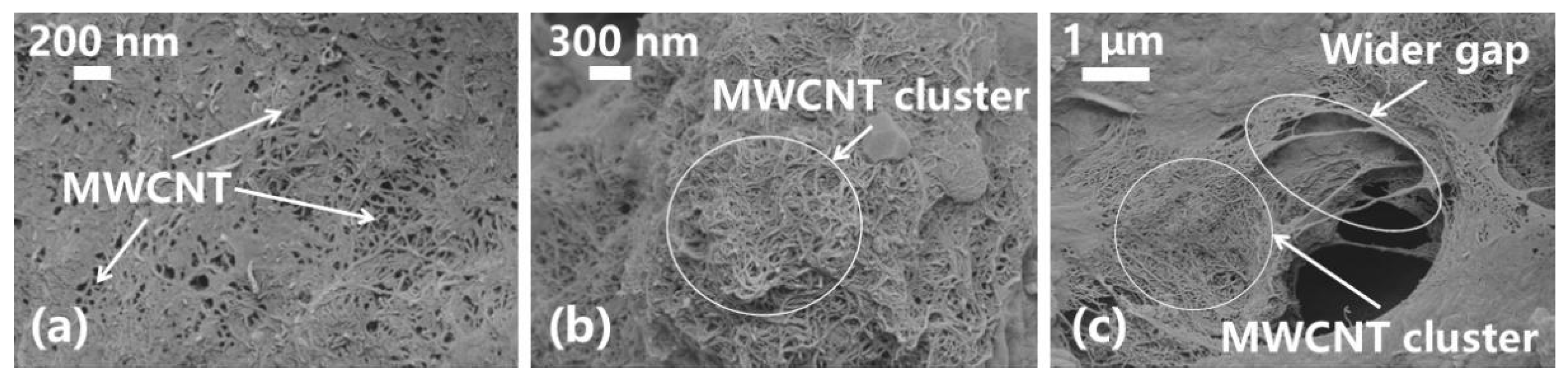 Nanomaterials 13 02092 g014