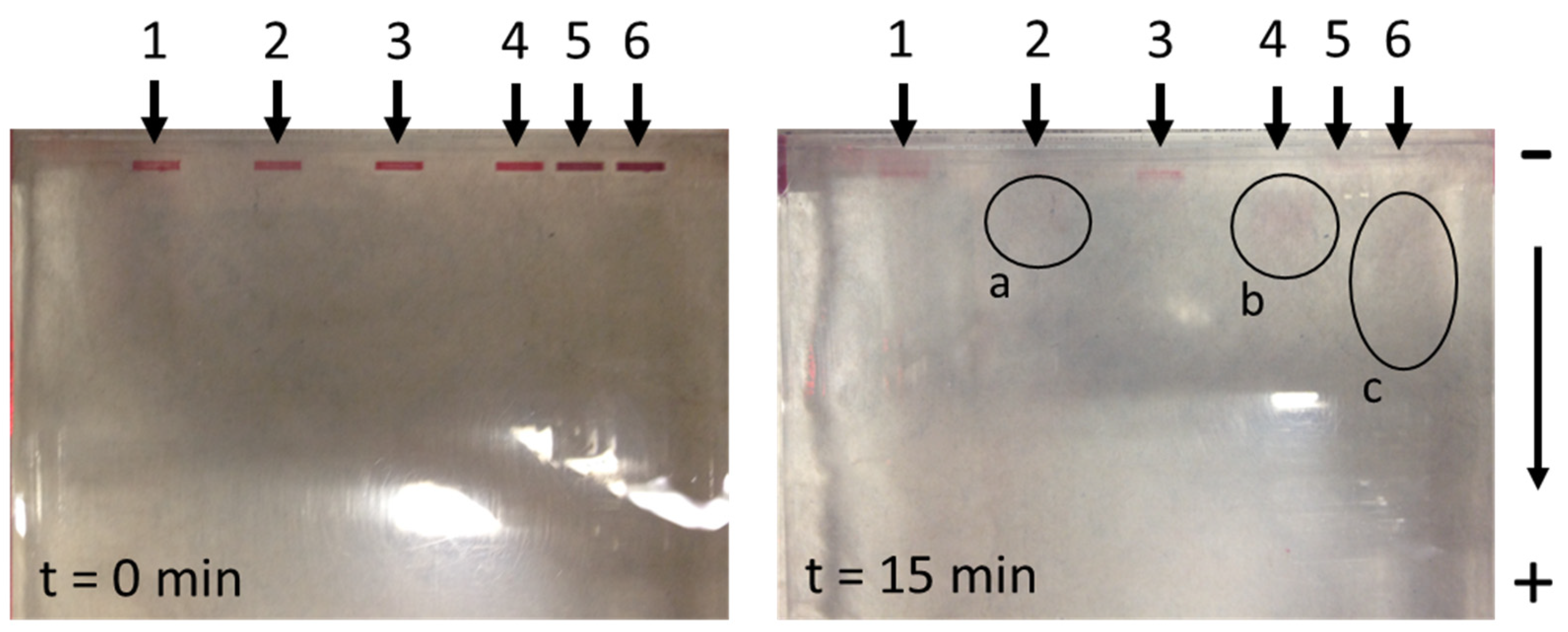 Nanomaterials 13 02160 g007 Nanomaterials 13 02160 g007