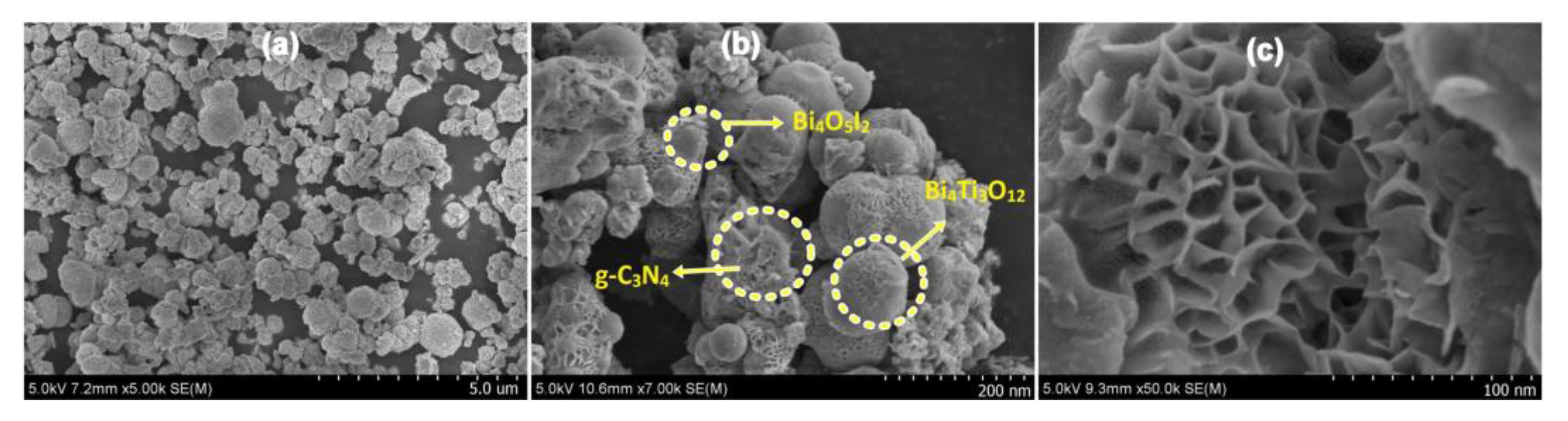 Nanomaterials 13 02173 g007