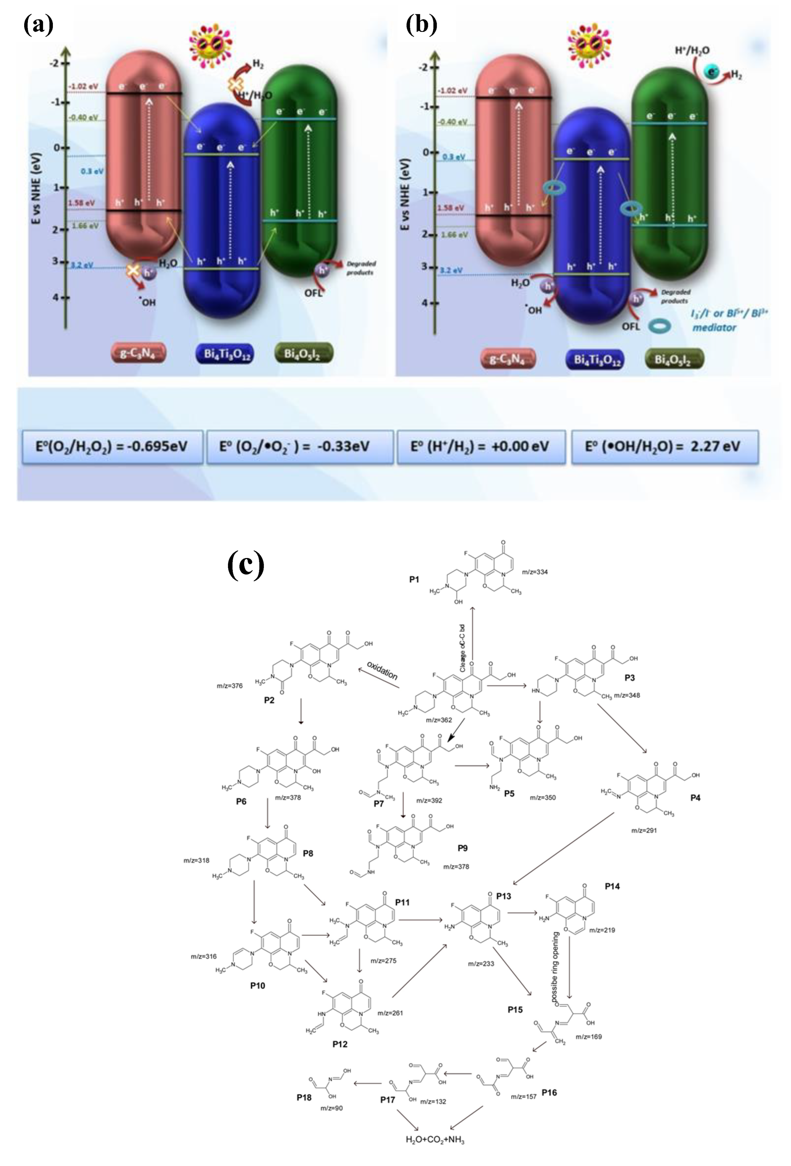 Nanomaterials 13 02173 g010
