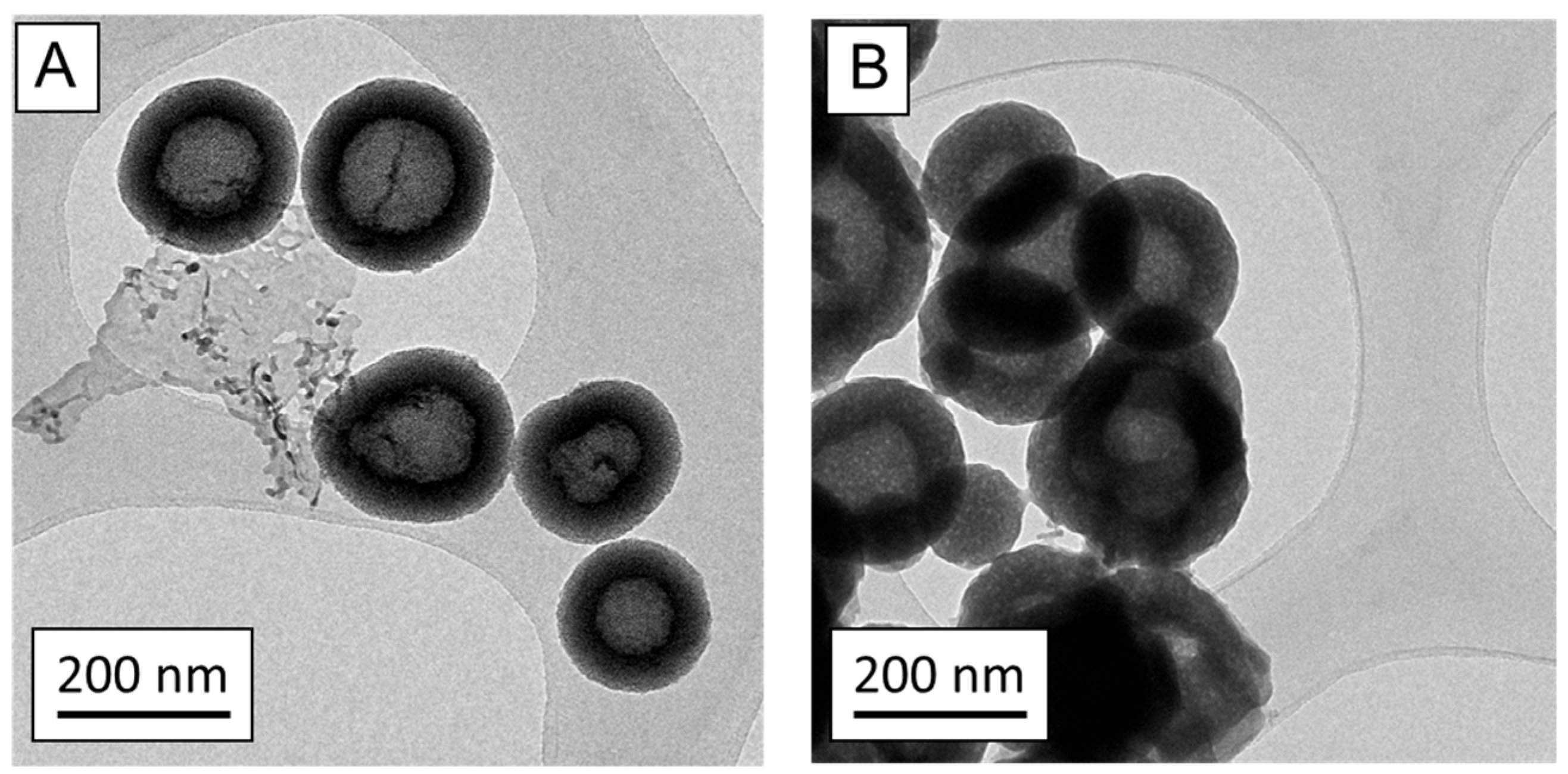Nanomaterials 13 02183 g002