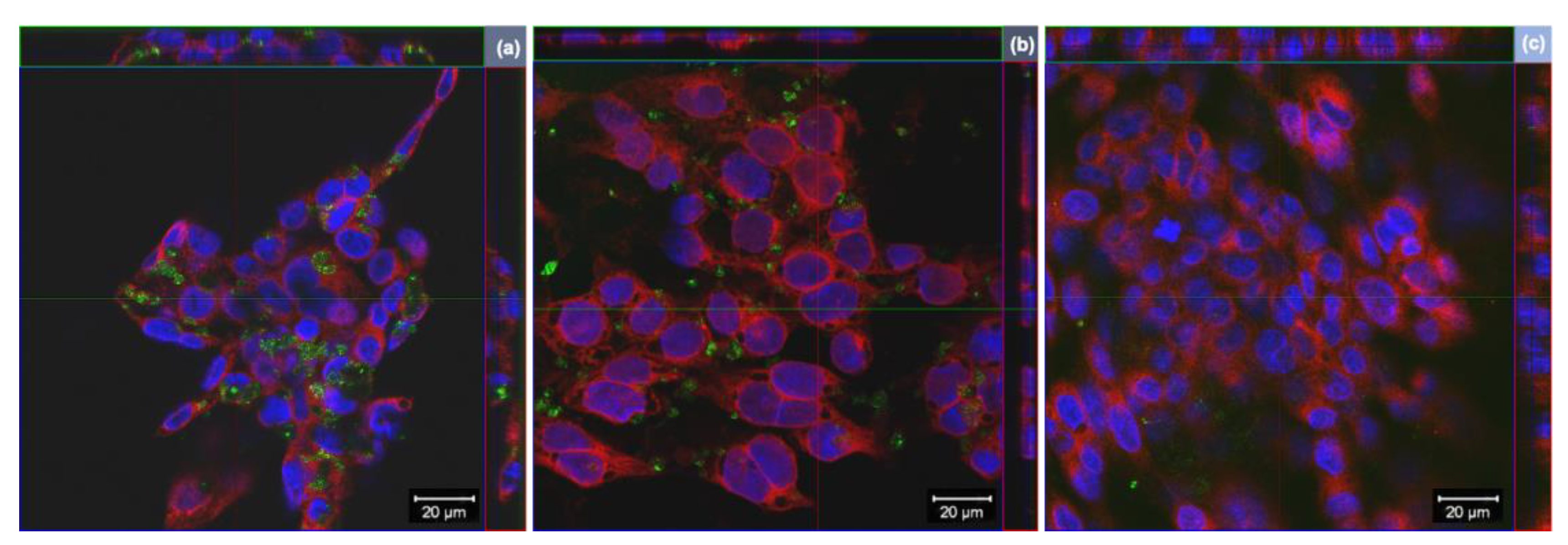 Nanomaterials 13 02189 g004