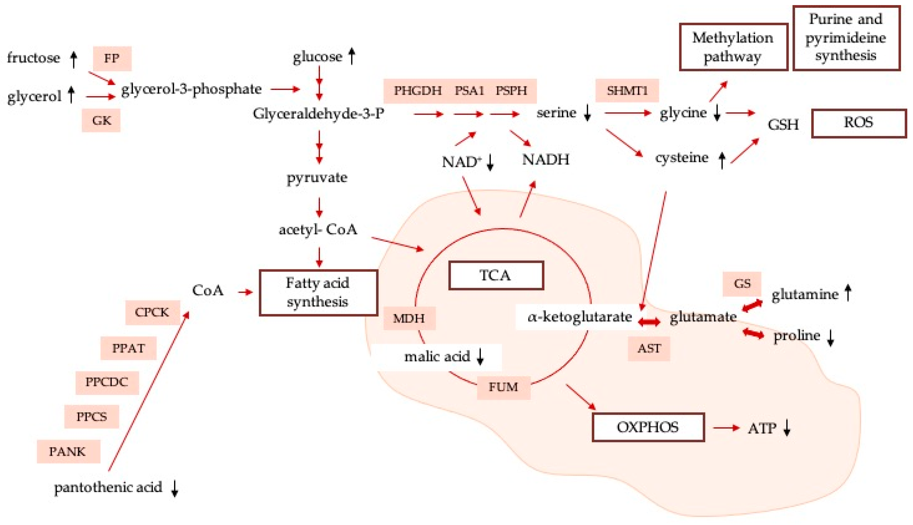 Nanomaterials 13 02204 g006 Nanomaterials 13 02204 g006