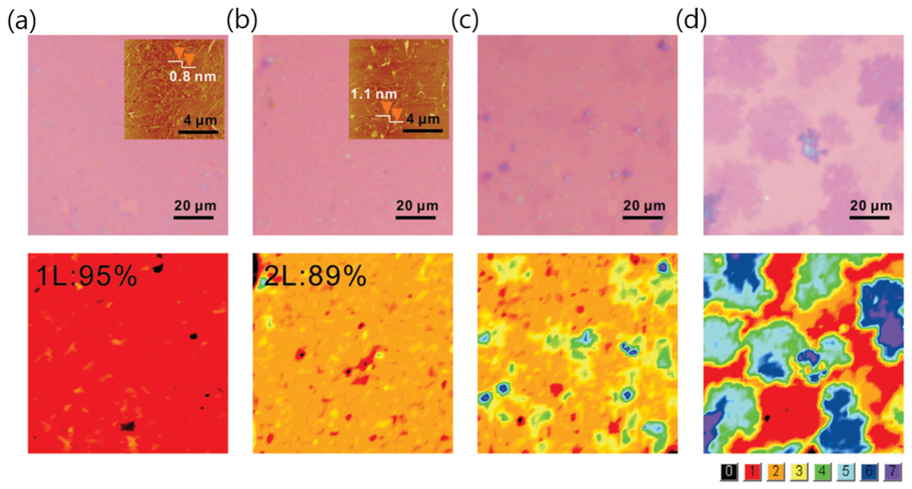 Nanomaterials 13 02217 g001