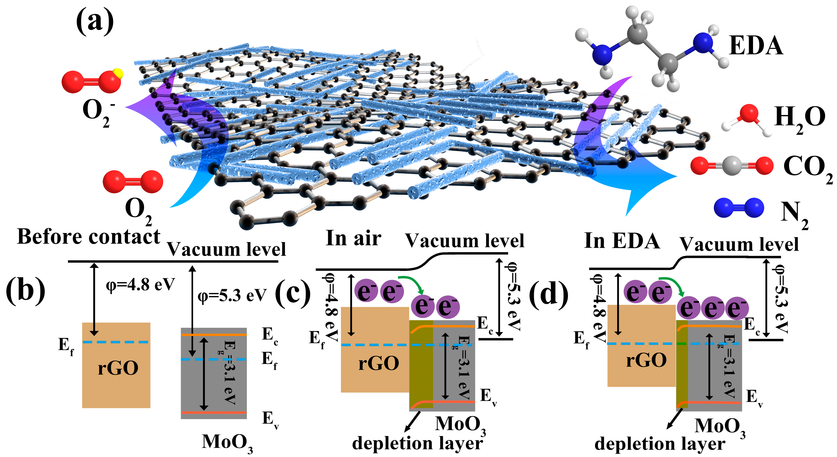 Nanomaterials 13 02220 g010