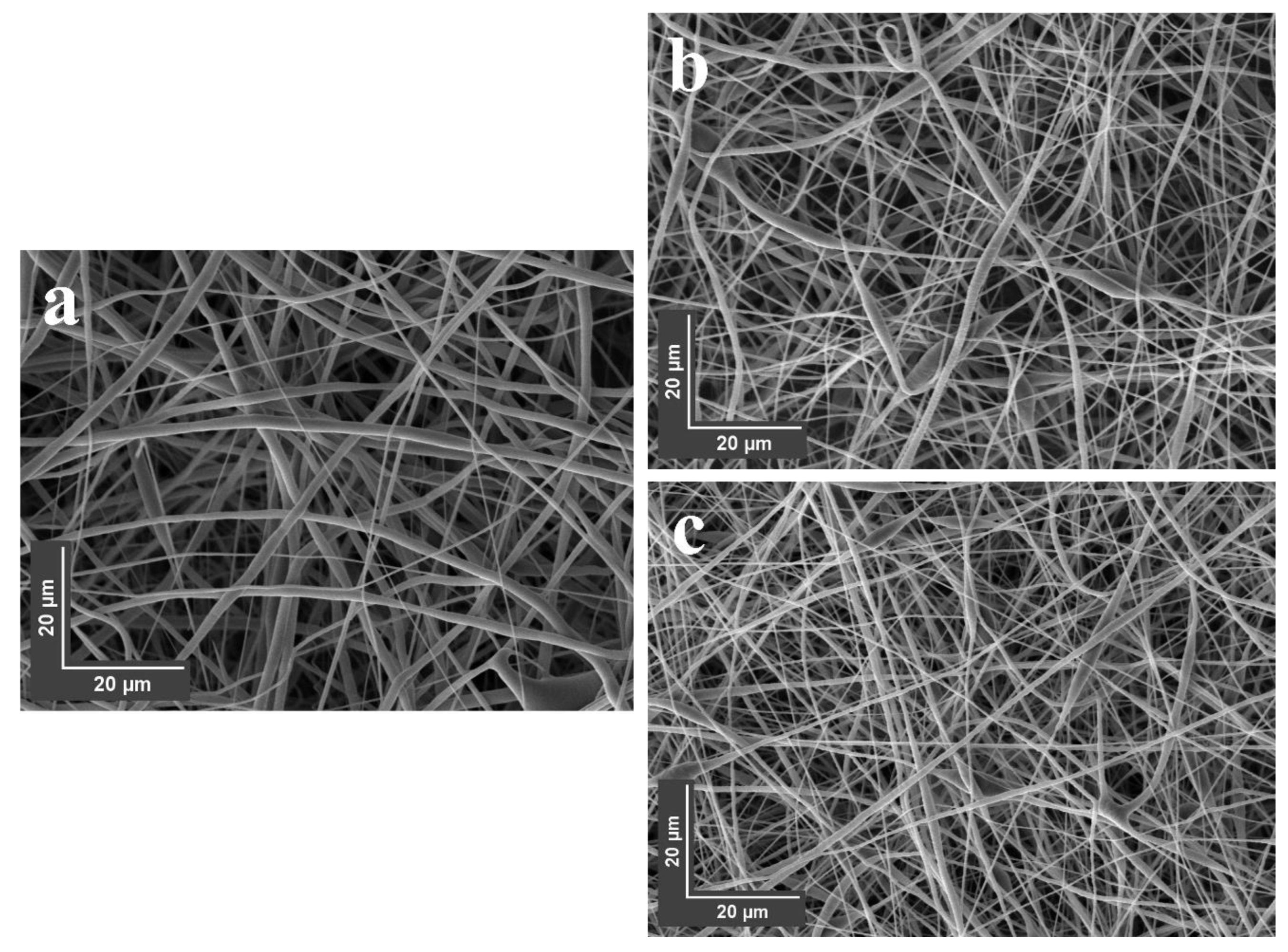 Nanomaterials 13 02242 g009