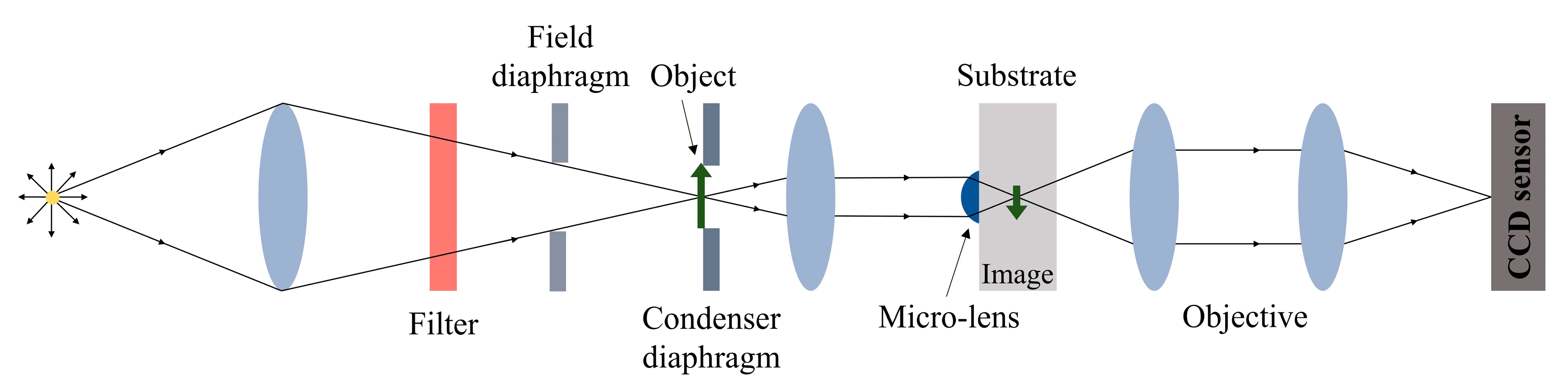 Nanomaterials 13 02281 g003
