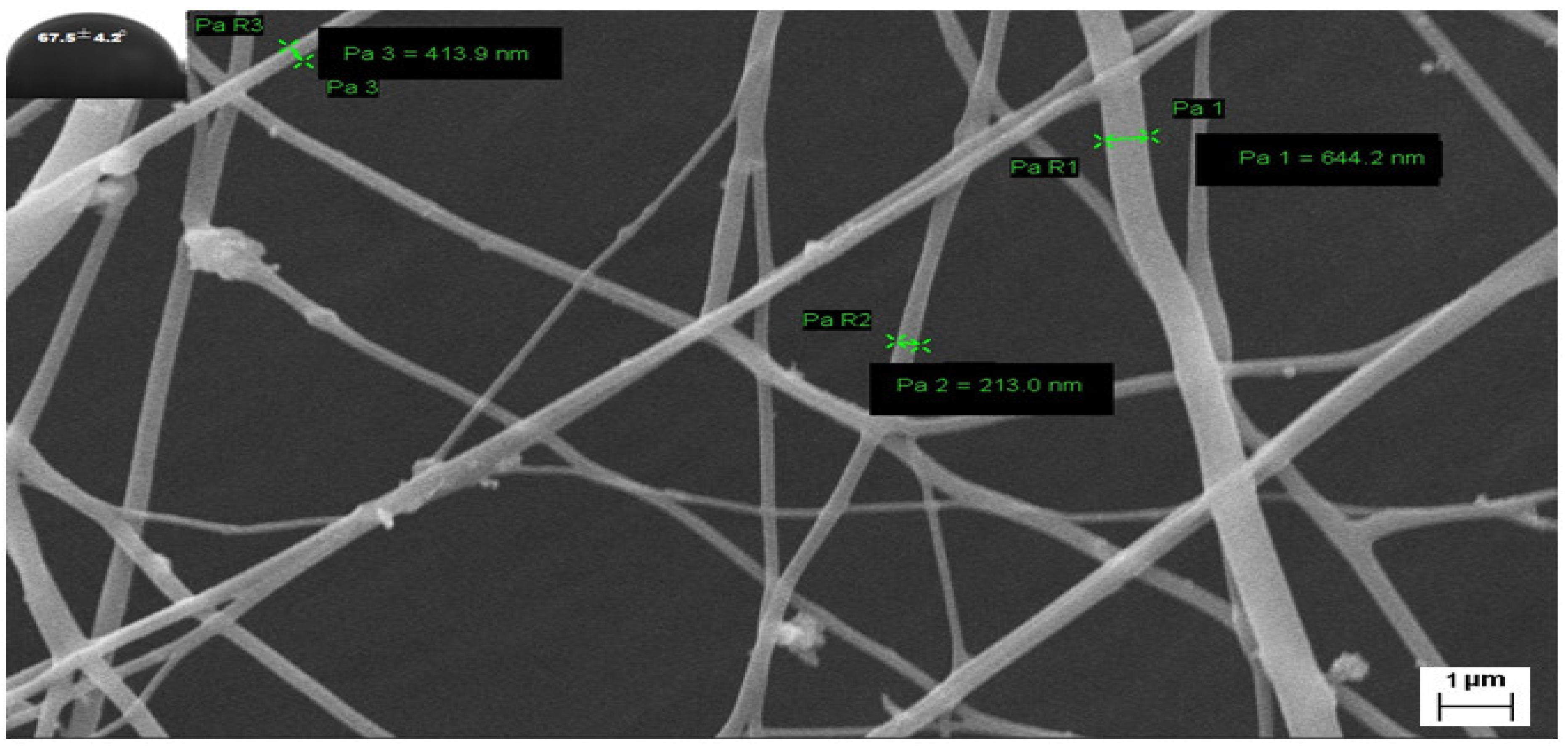 Nanomaterials 13 02305 g007
