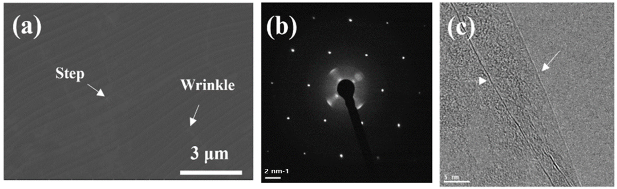 Nanomaterials | Free Full-Text | A Graphene-Based Polymer 