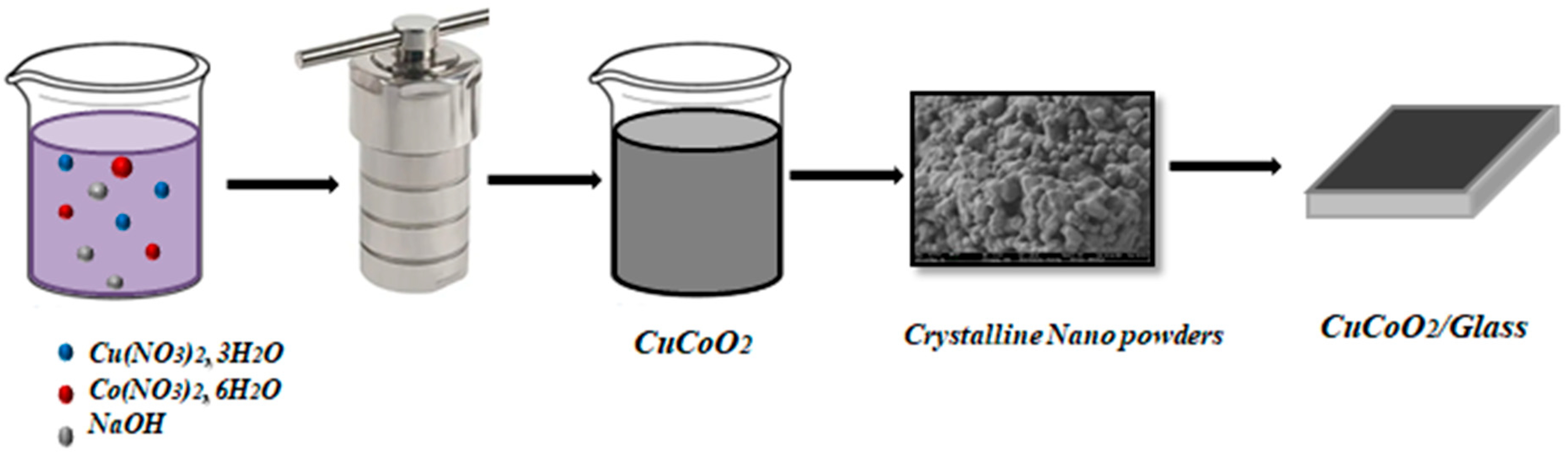 Nanomaterials 13 02312 g001