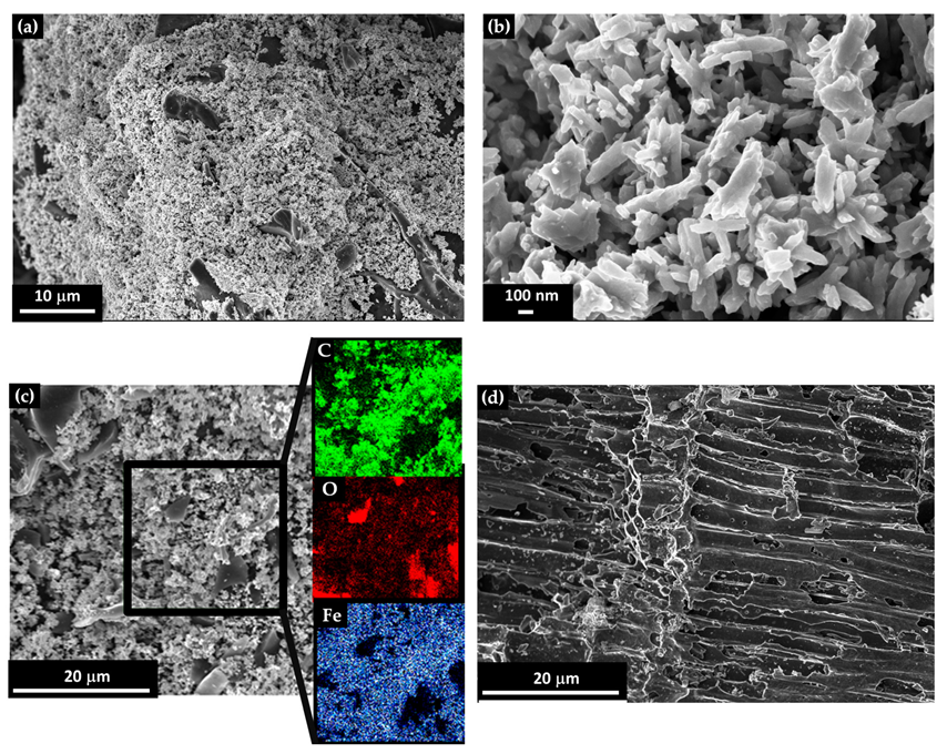 Nanomaterials 13 02326 g001 Nanomaterials 13 02326 g001