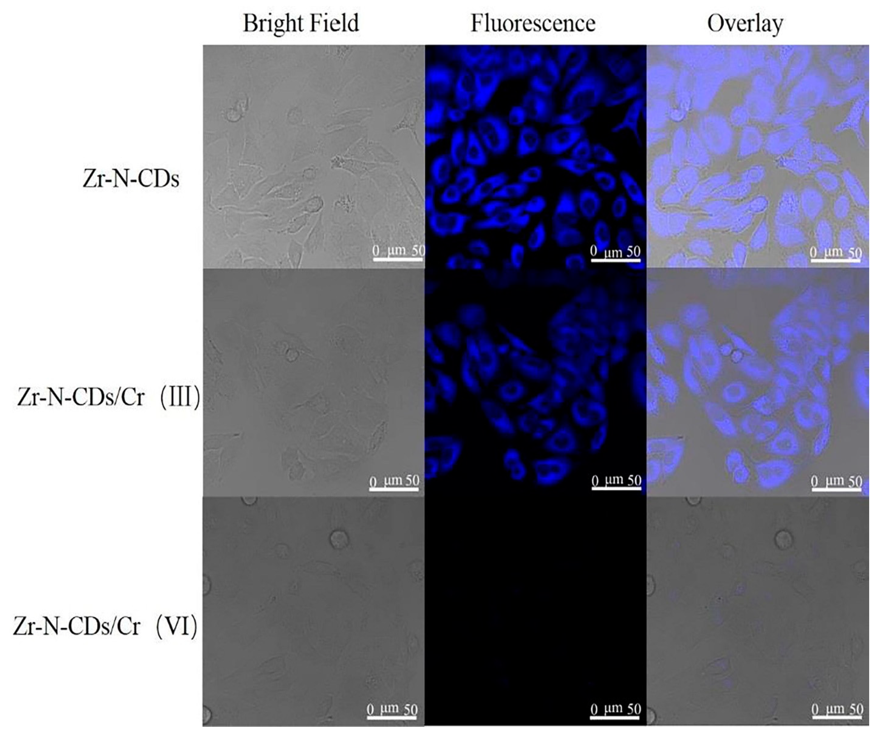 Nanomaterials 13 02336 g011