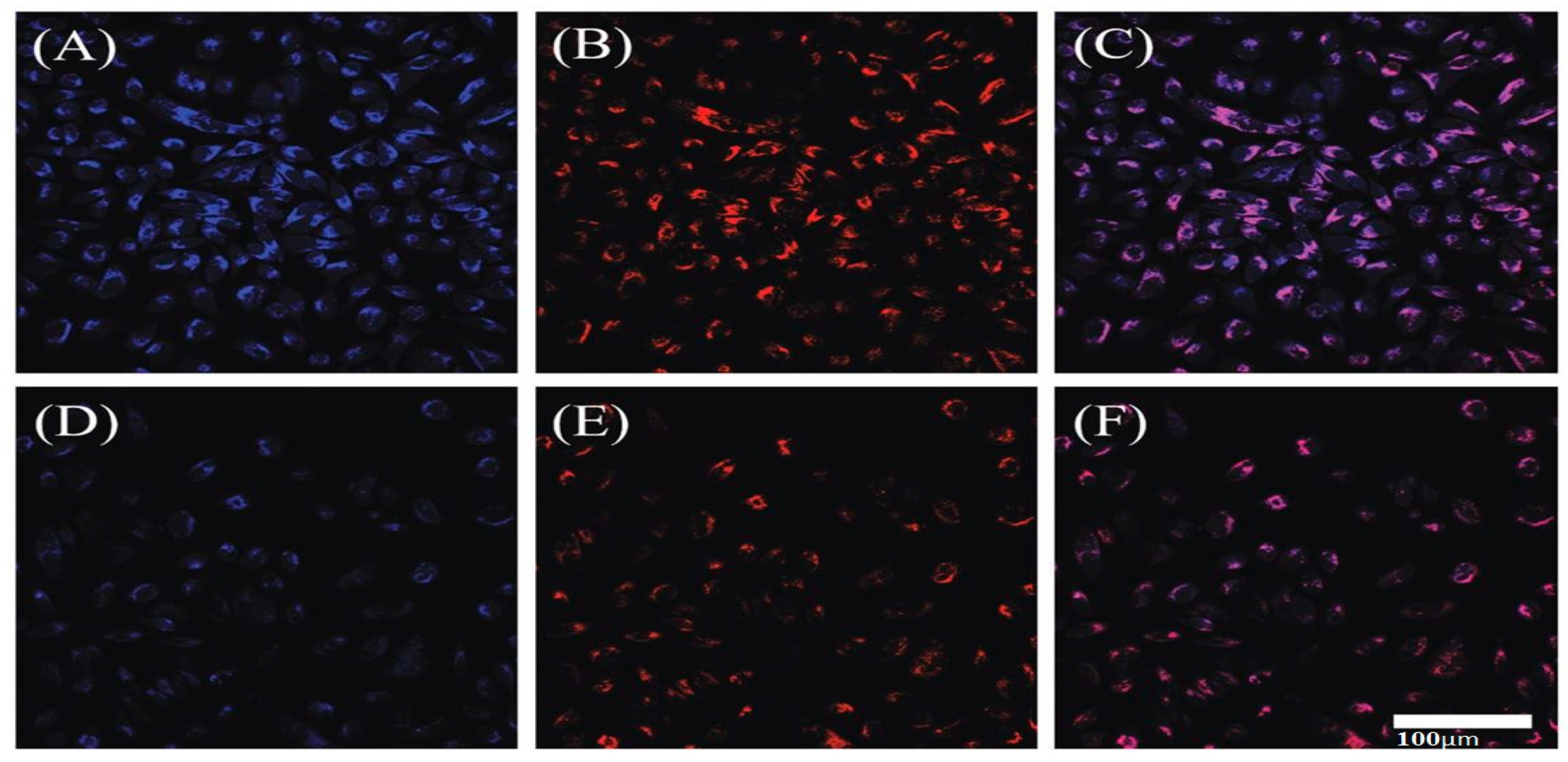 Nanomaterials 13 02336 g012