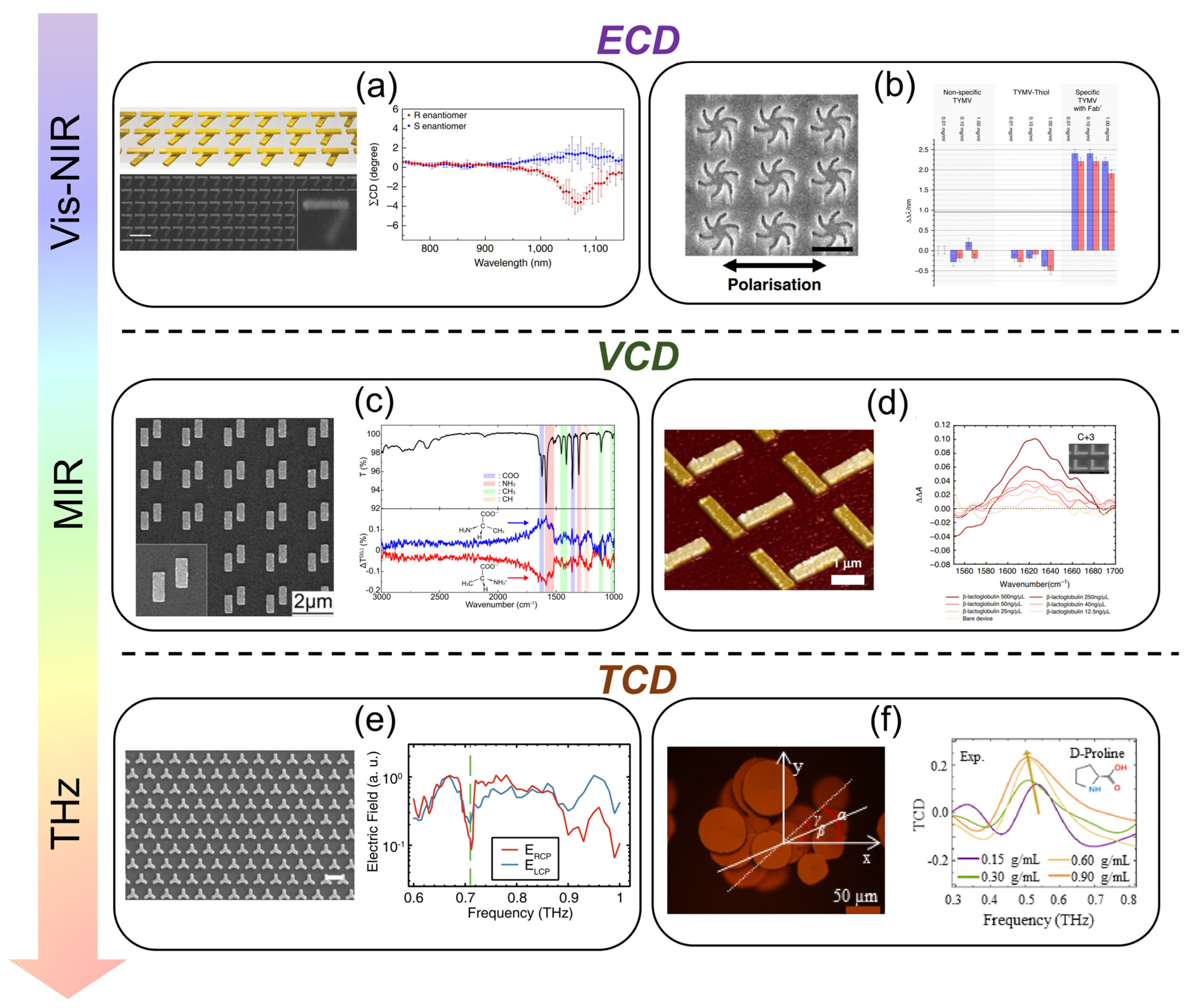 Nanomaterials 13 02377 g008