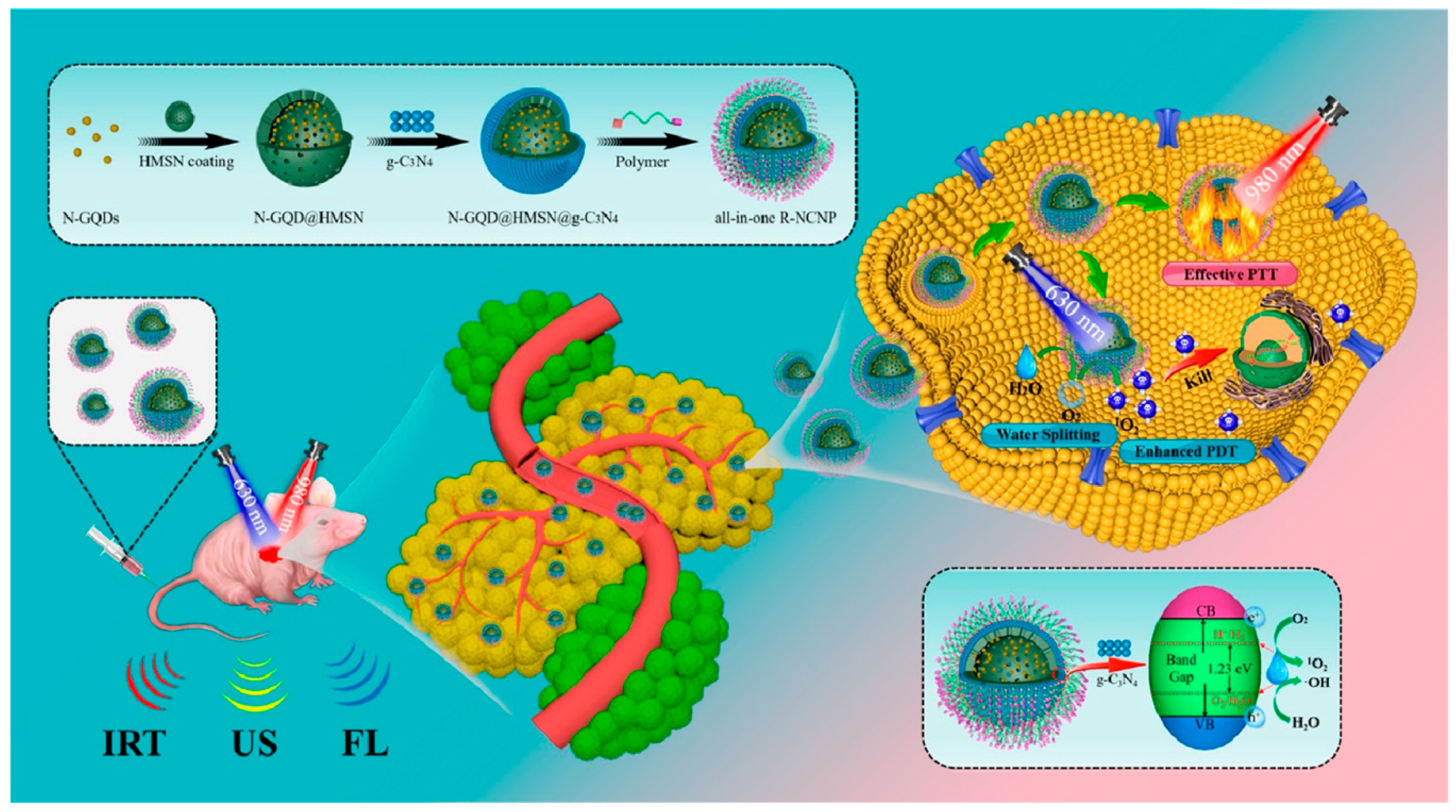 Nanomaterials 13 02380 g005