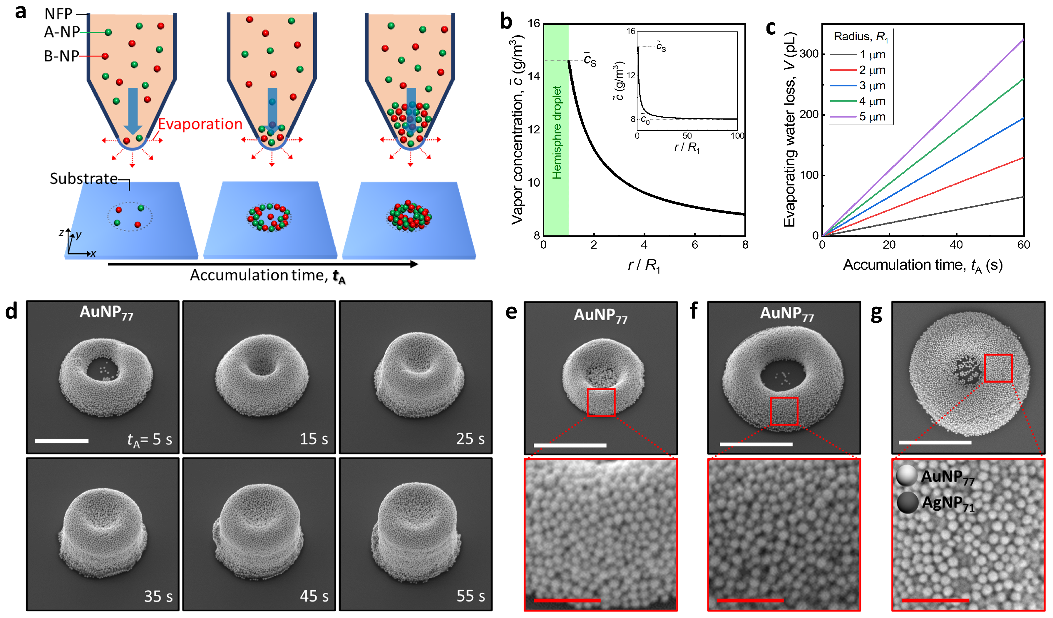 Nanomaterials 13 02403 g002