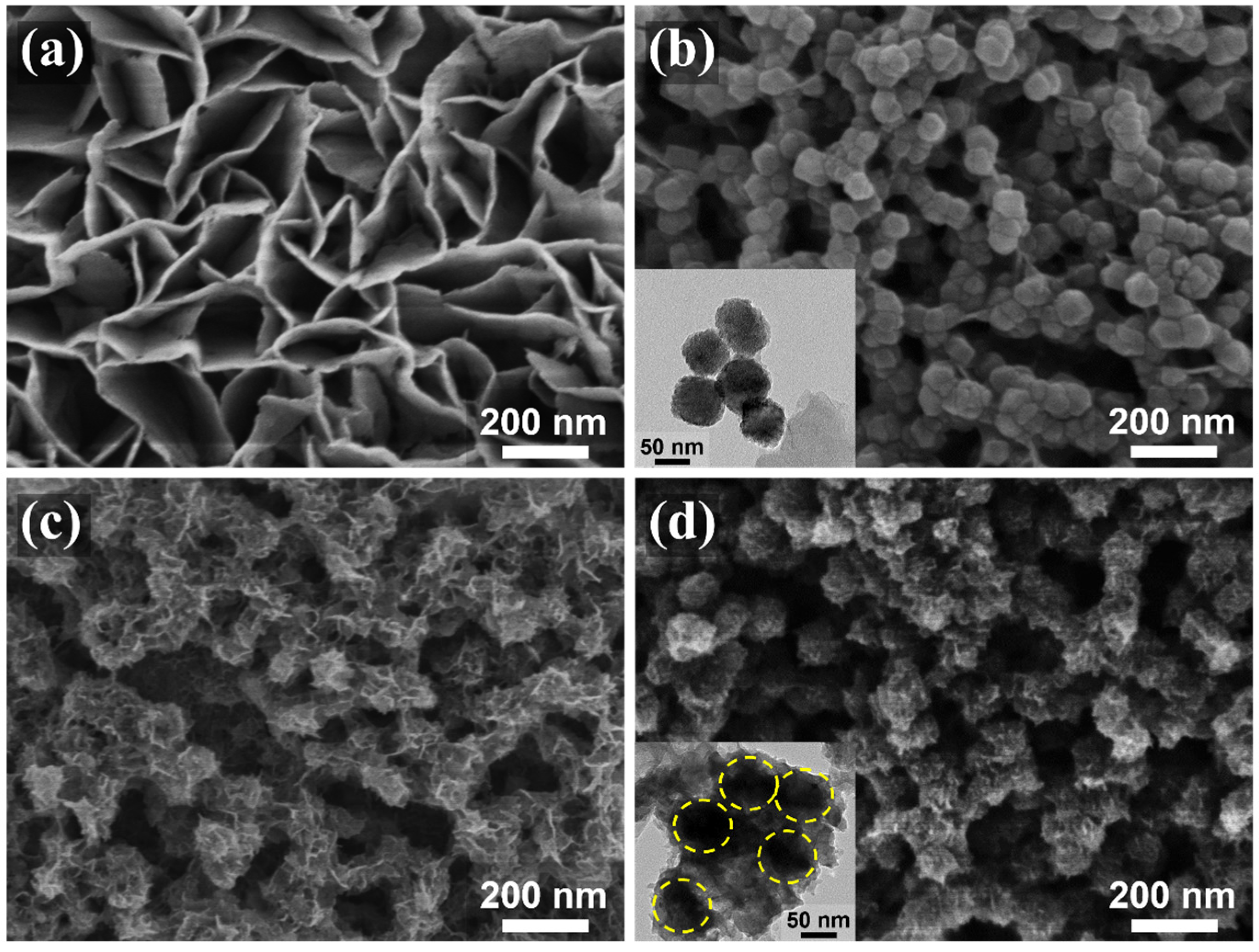 Nanomaterials 13 02421 g002