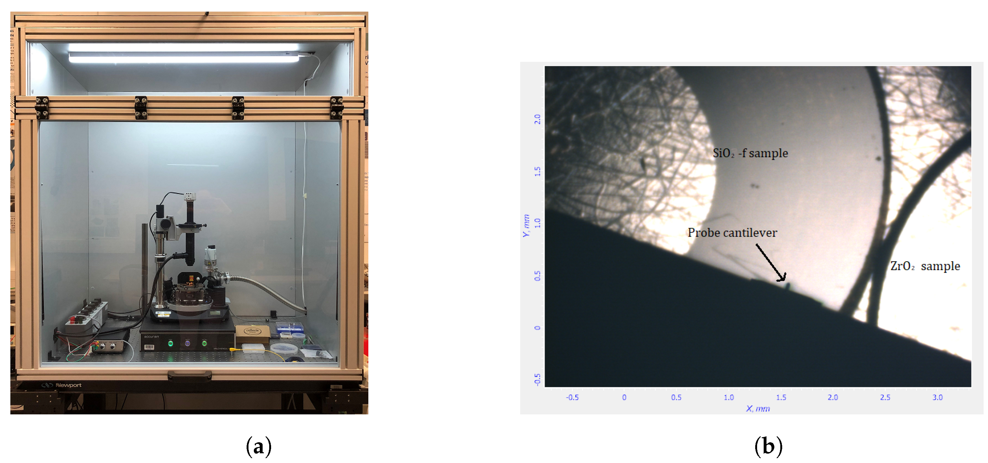 Nanomaterials 13 02424 g004