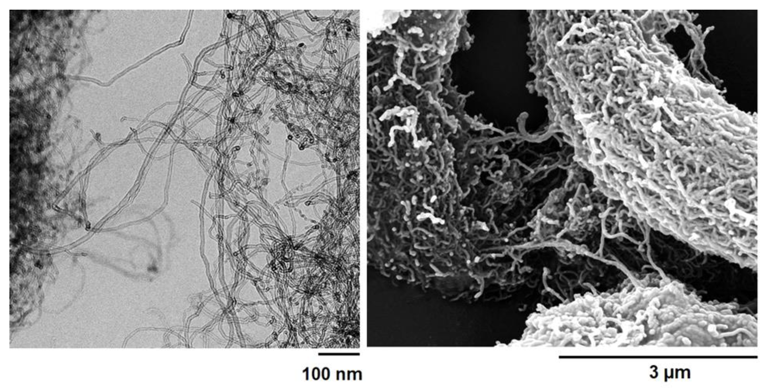 Nanomaterials 13 02427 g011