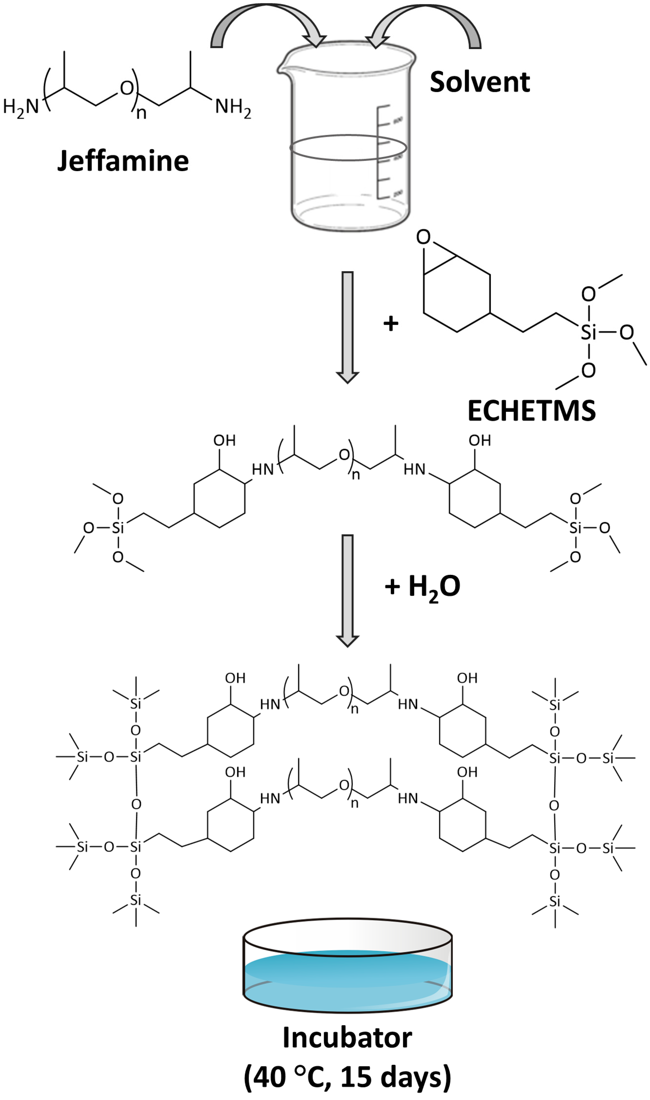 Nanomaterials 13 02429 g001