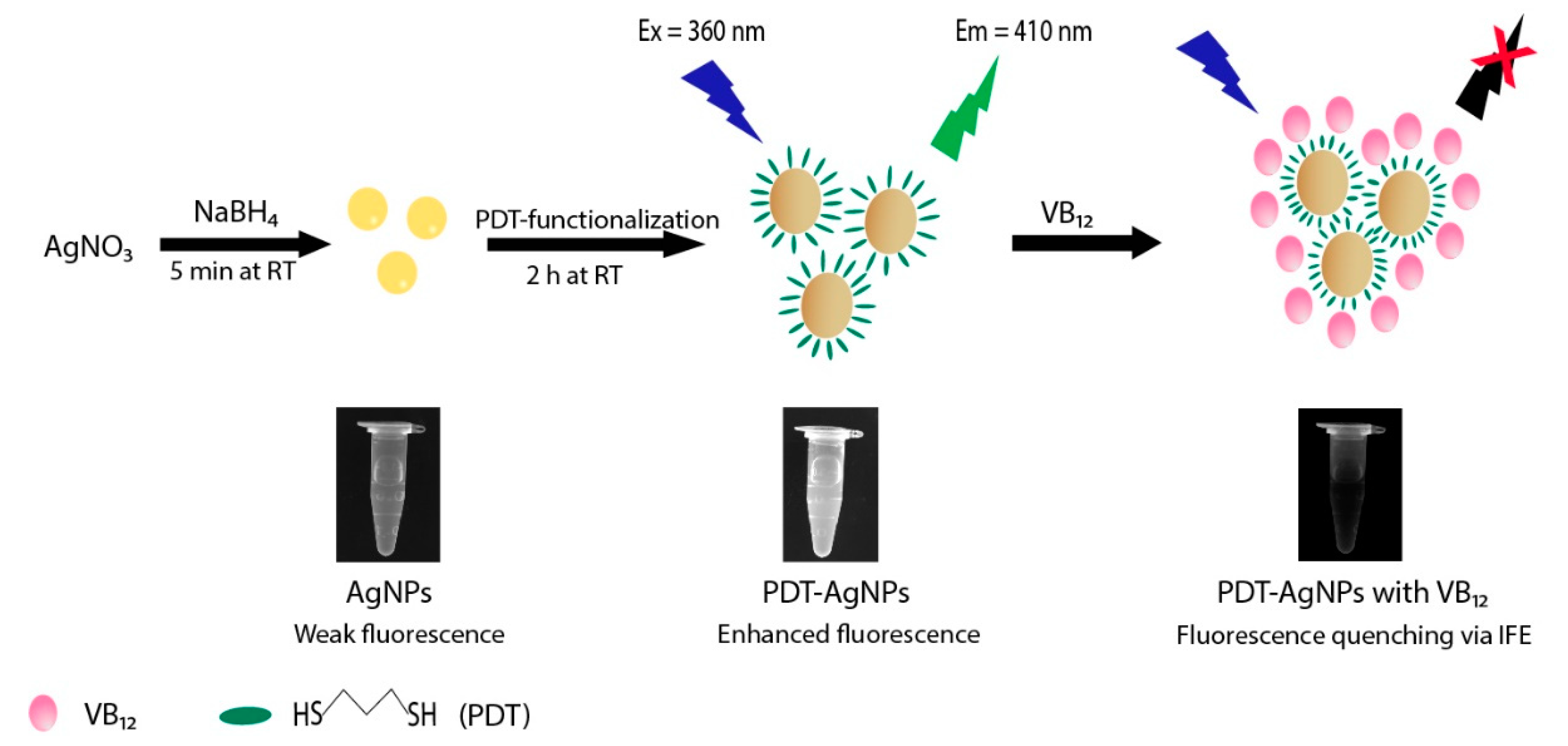 Nanomaterials 13 02444 g001
