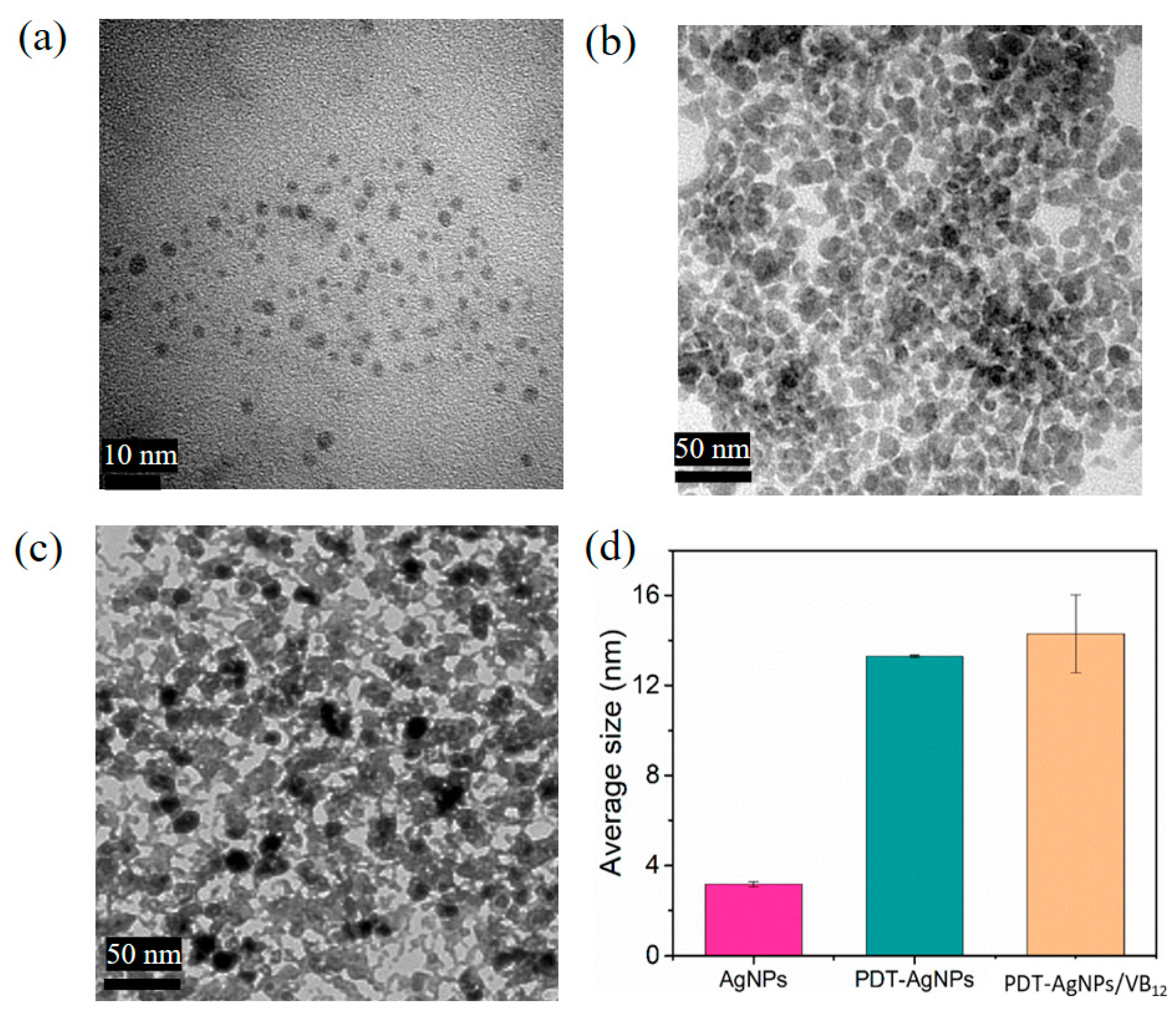 Nanomaterials 13 02444 g002