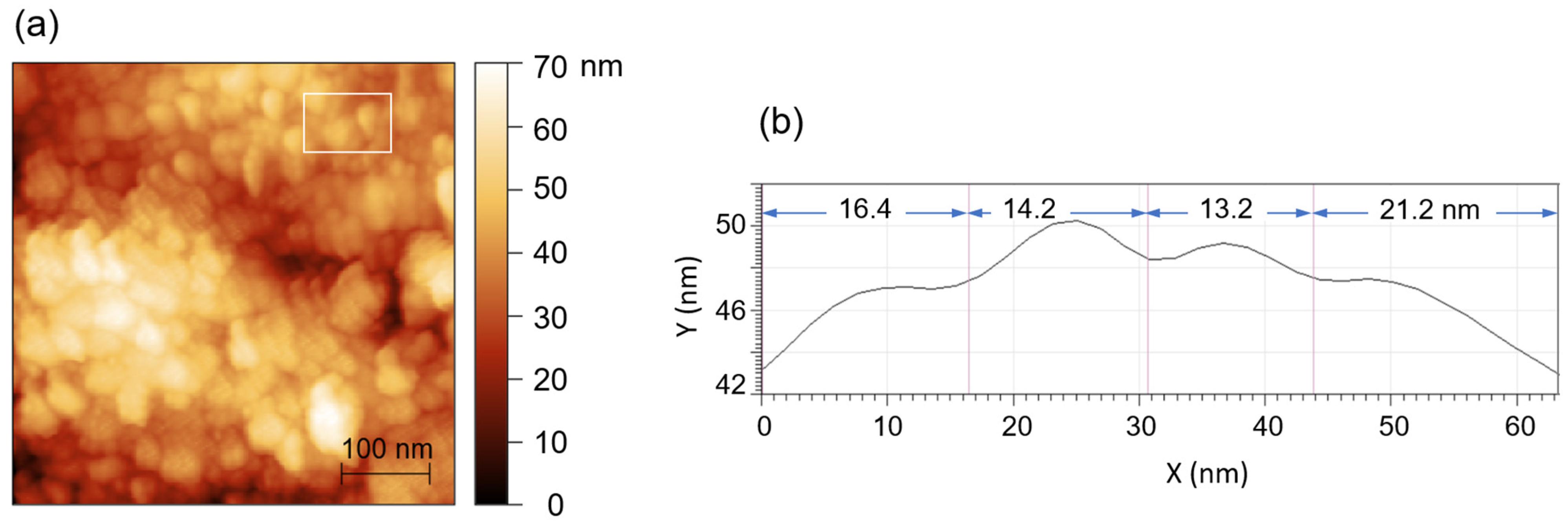 Nanomaterials 13 02450 g005