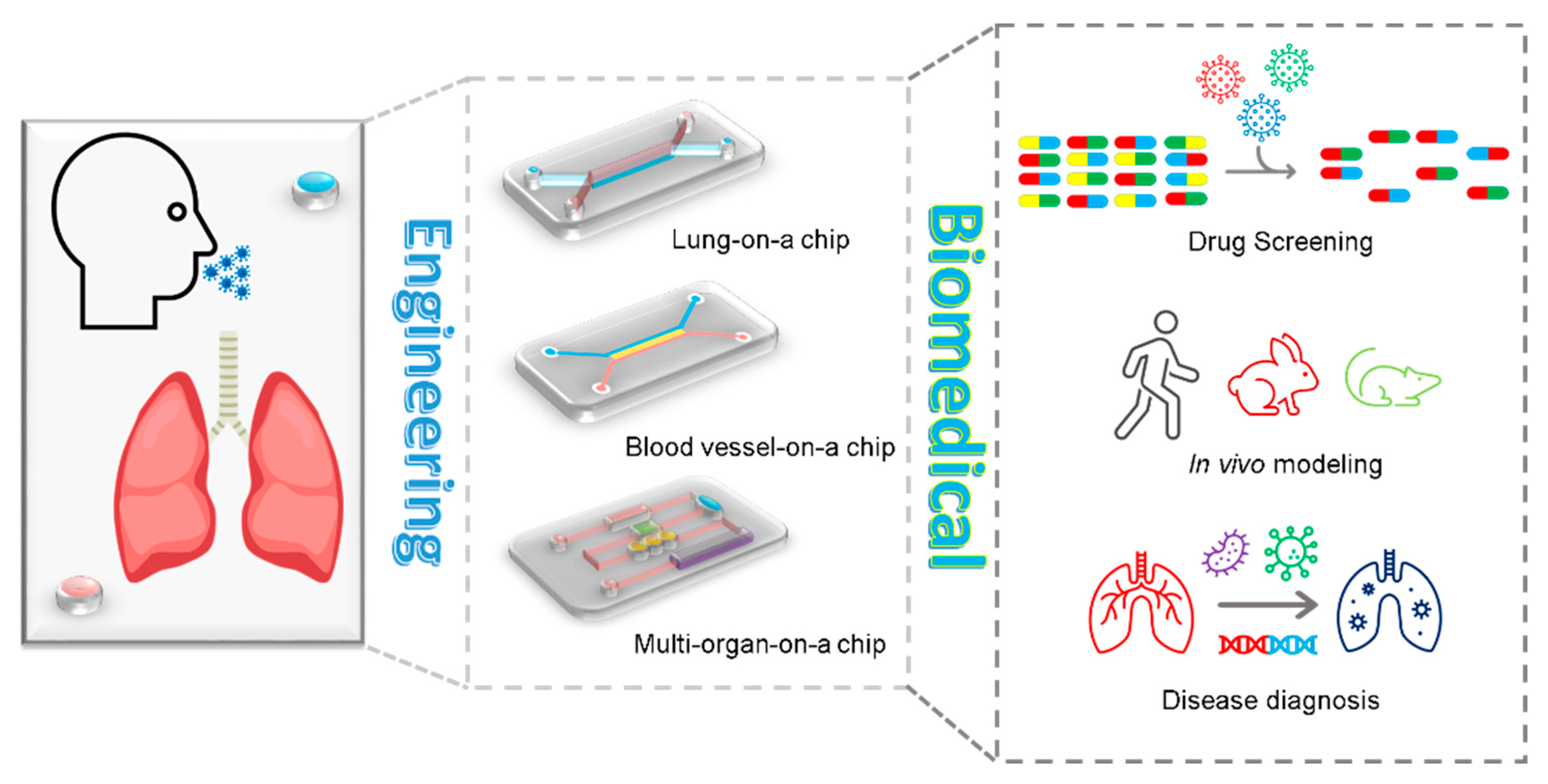 Nanomaterials 13 02455 g004