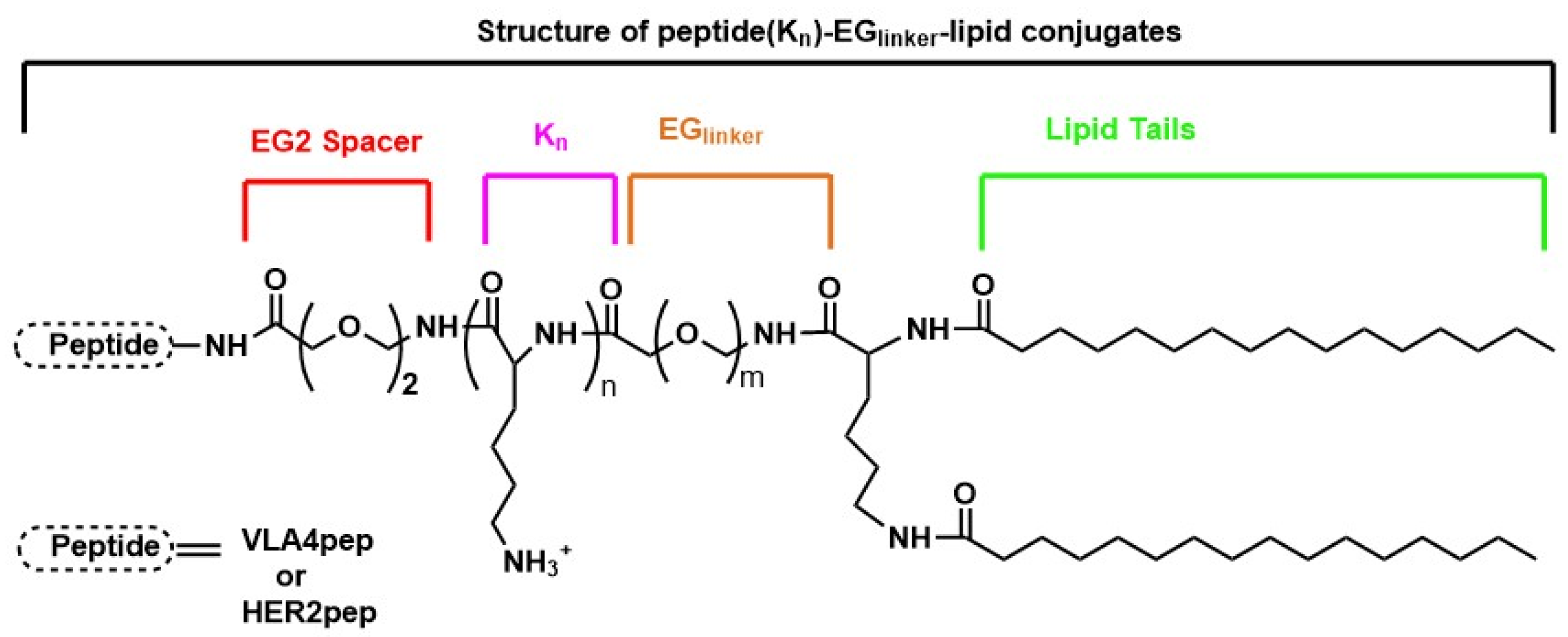 Nanomaterials 13 02476 g008