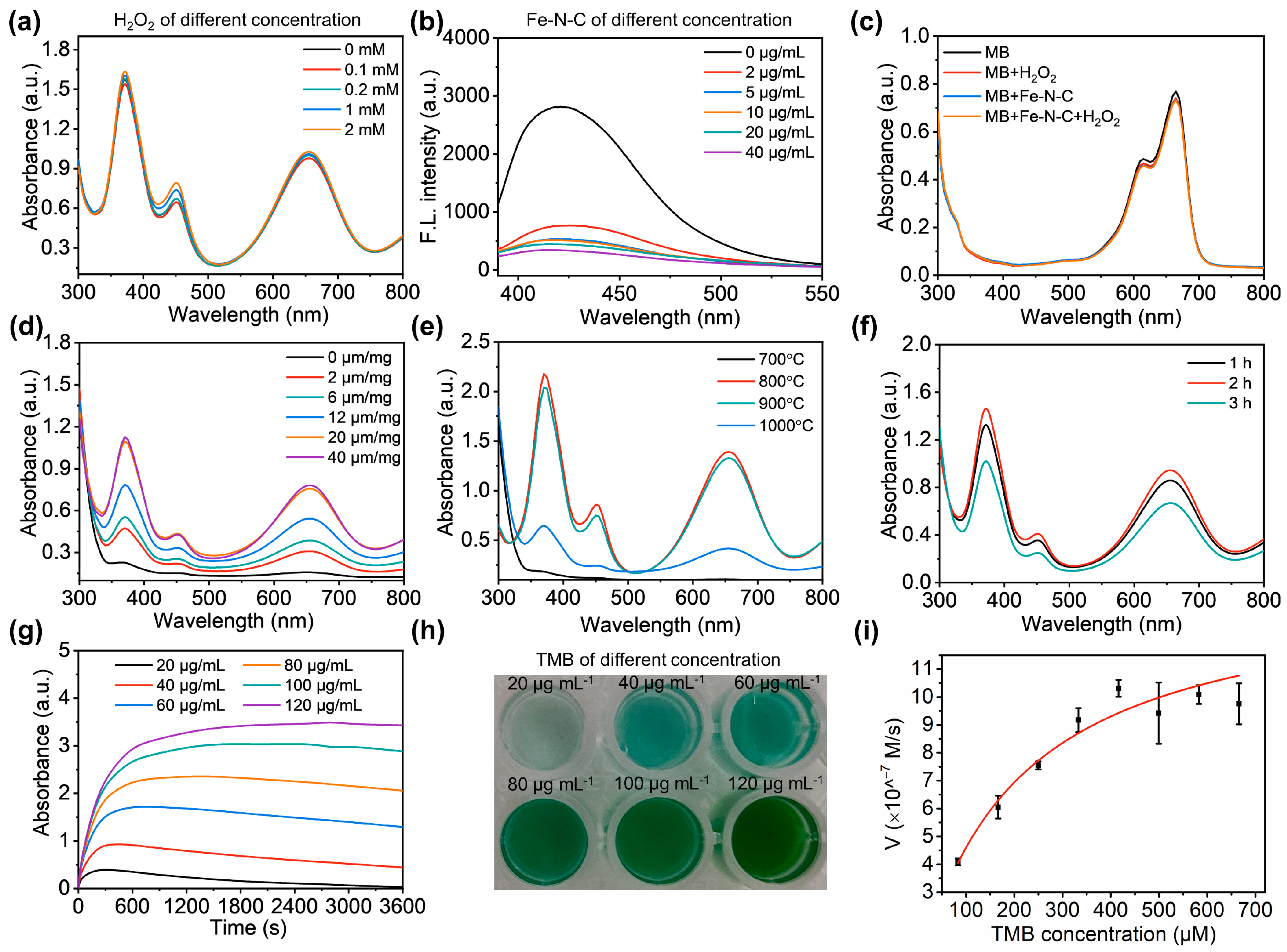 Nanomaterials 13 02496 g003