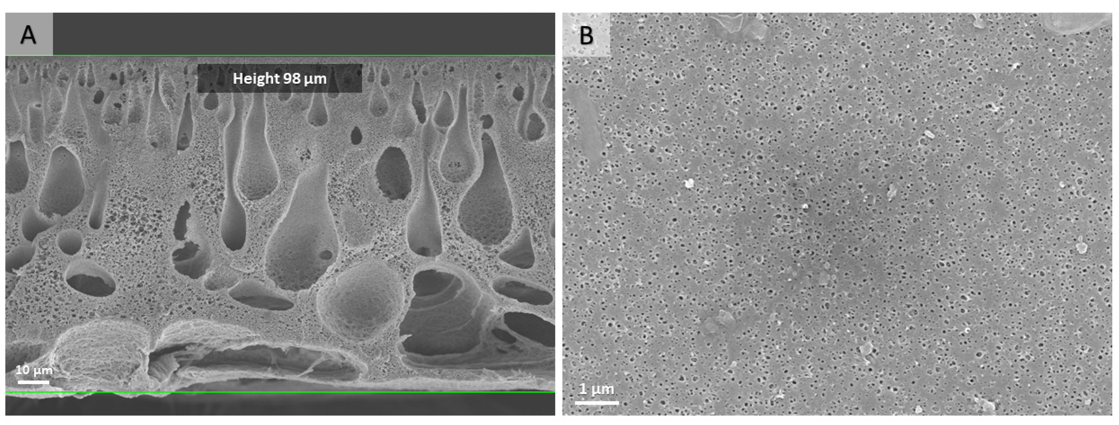 Nanomaterials 13 02498 g002