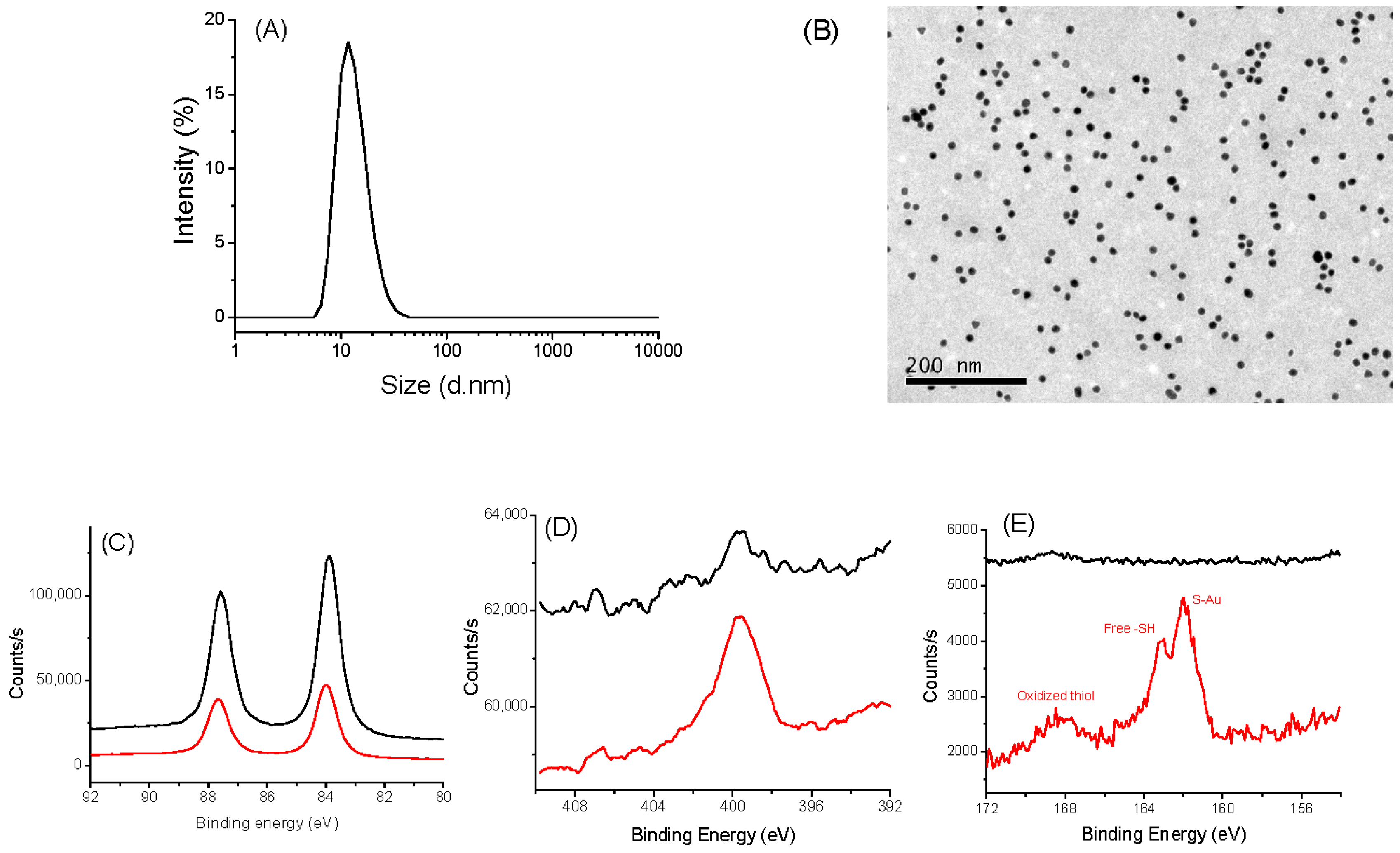 Nanomaterials 13 02509 g002