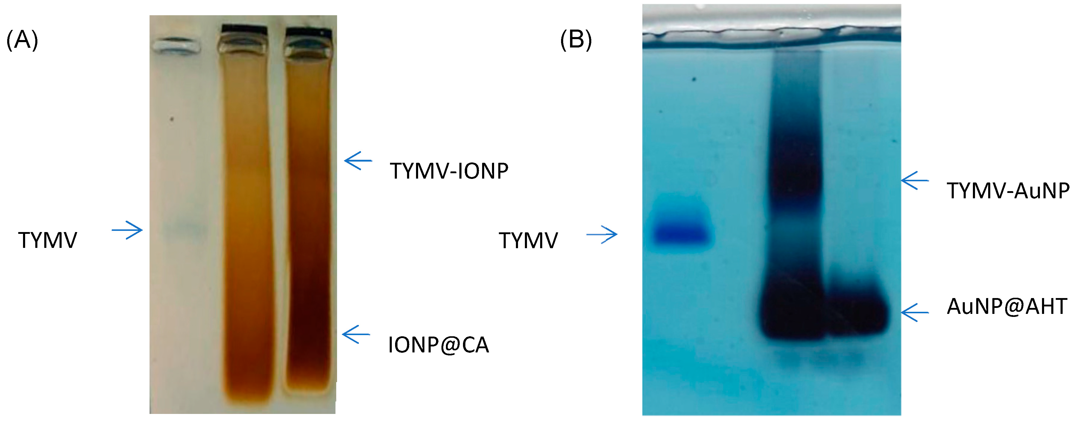Nanomaterials 13 02509 g003