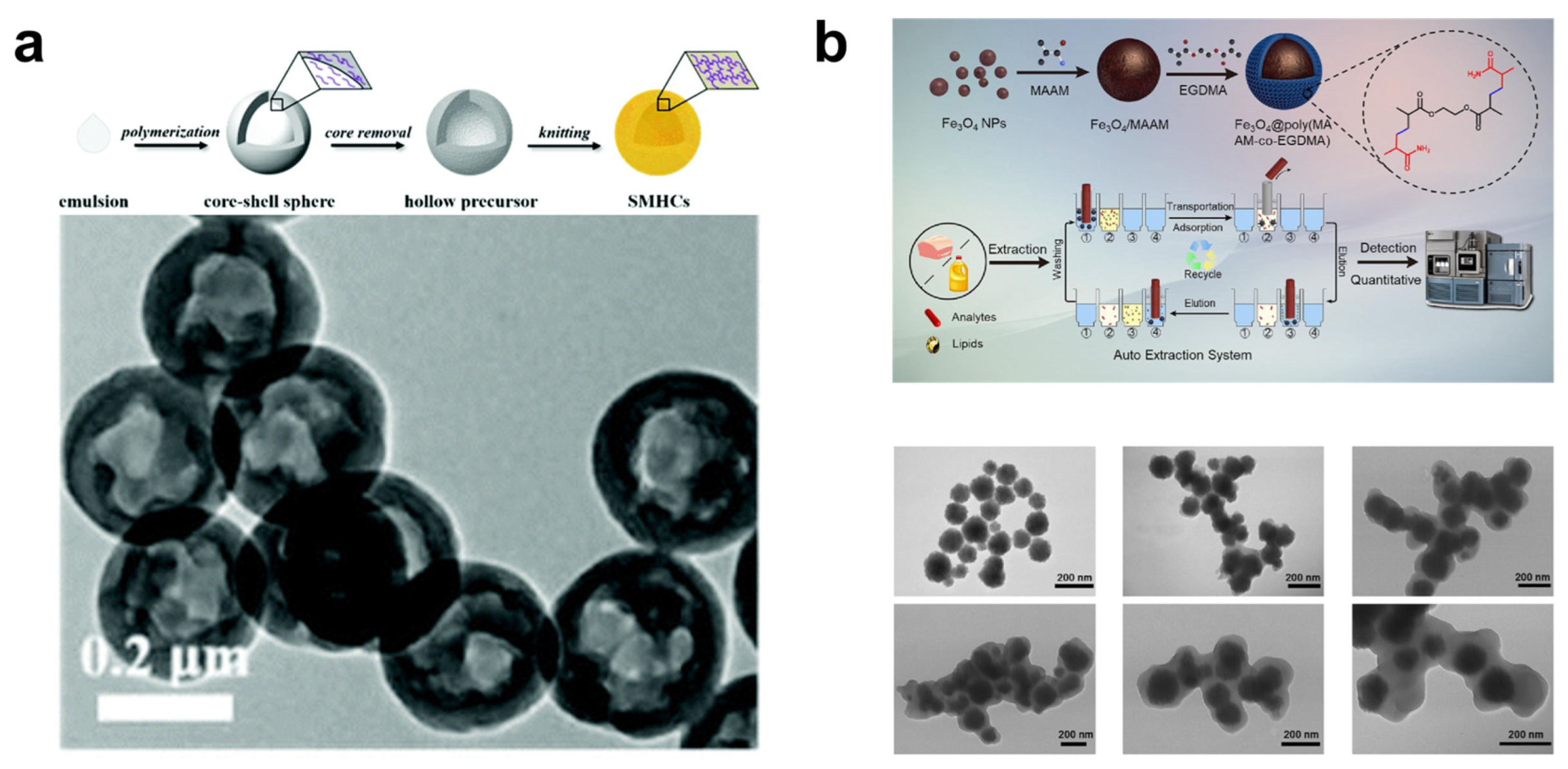 Nanomaterials 13 02514 g007
