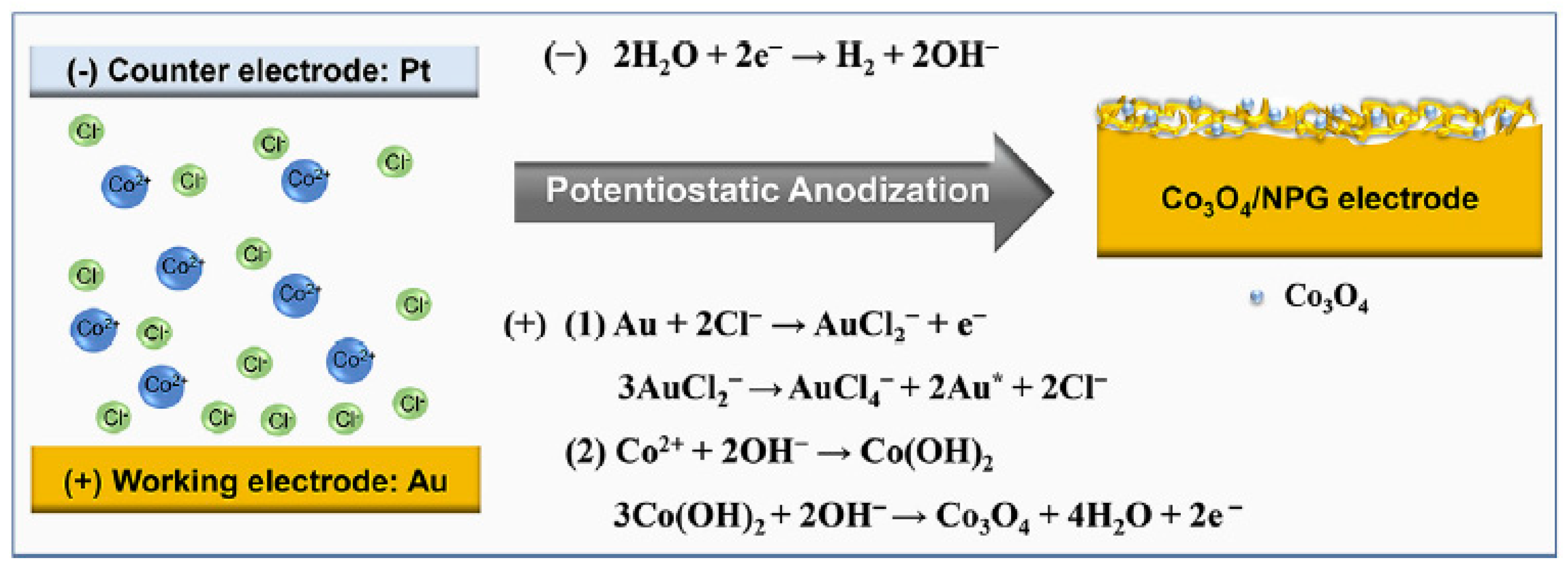 Nanomaterials 13 02515 g005