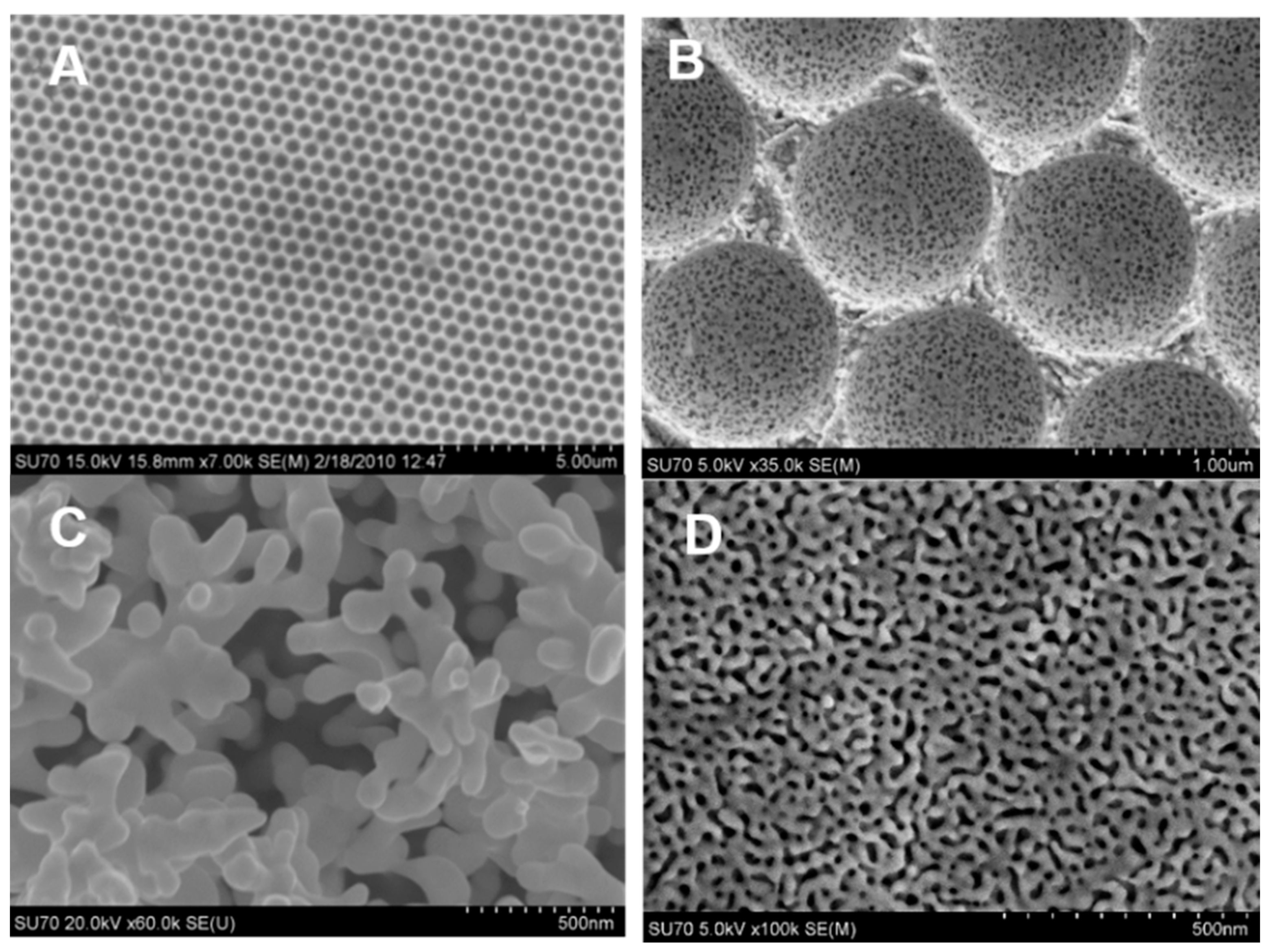 Nanomaterials 13 02515 g008