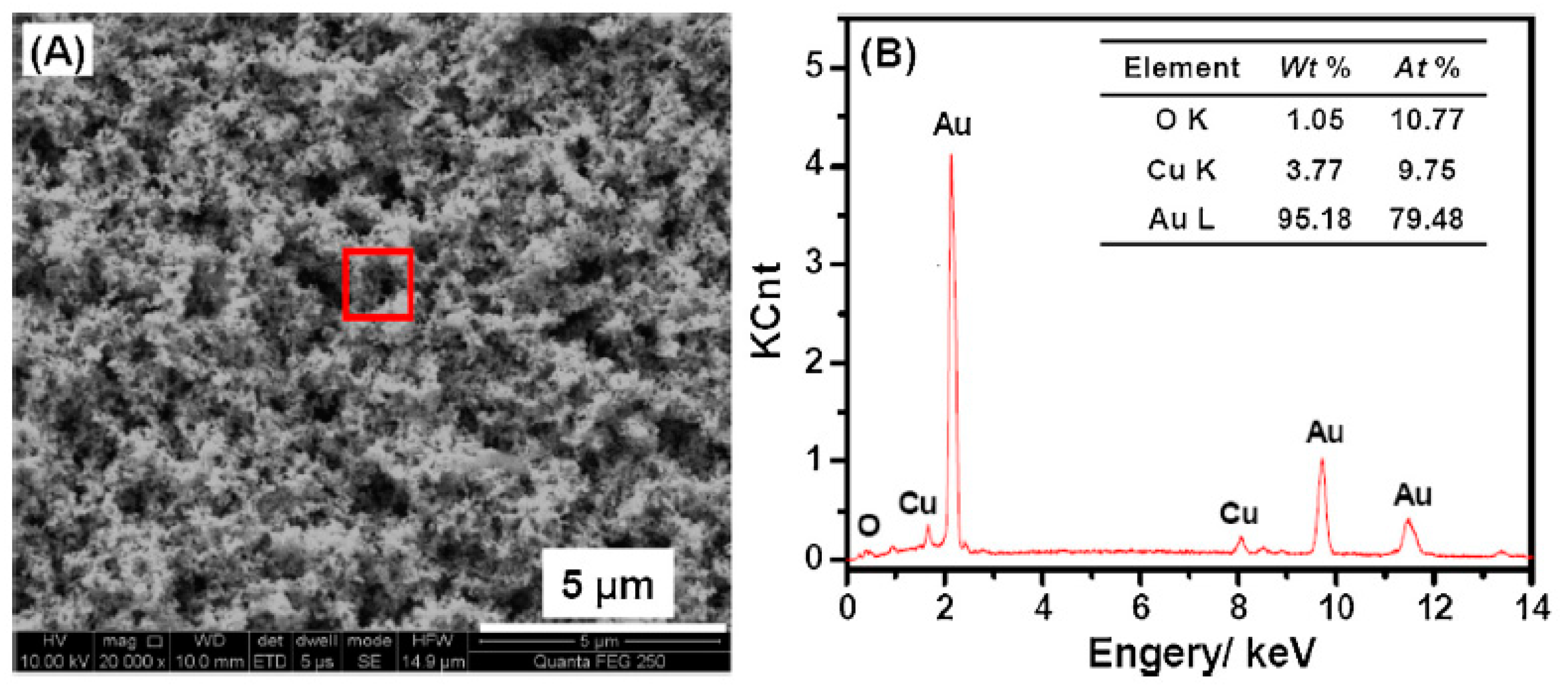 Nanomaterials 13 02515 g012