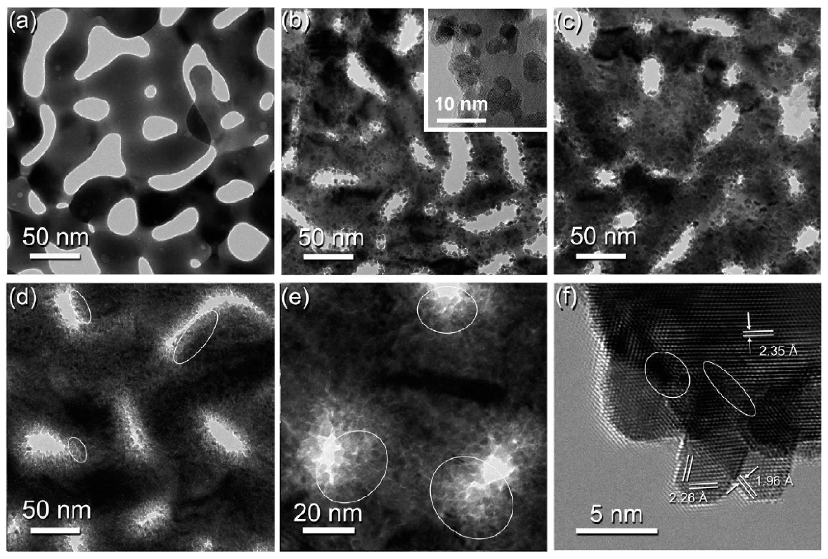 Nanomaterials 13 02515 g015