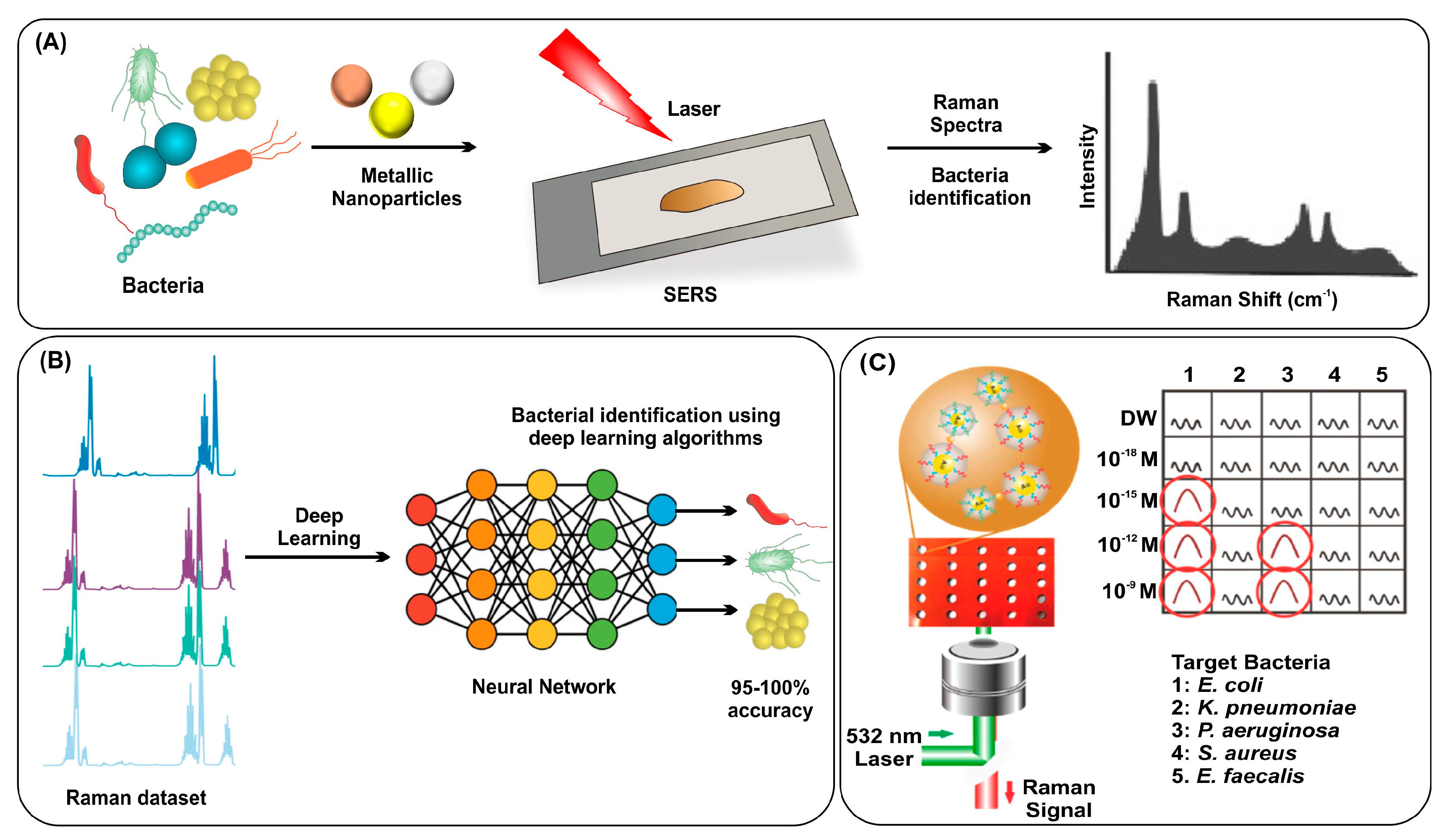 Nanomaterials 13 02529 g004
